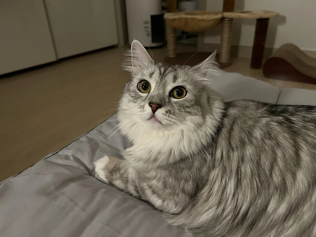 562pYOaQyfEsH9454QffWkPZQ2AF5AA69f3a2GxvOup9GHd6eS_V5t302GpOEFfLdwlGAzma45zAz72n4BPai-tCNLrBgT7OuECqrNUT4YYVayGBU_GGts1RHZlK2prOJr7KHi2w1pr7MklH-1kRHXE