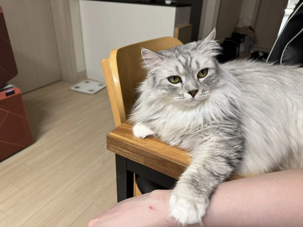 AD_4nXdSQQz0Xts5xxHHhXnTQxm2JTVh2pu99qXjx_8tMM9d5ev9LBTO_GT_yclcCfl3oUfqECAhZnB3tC_Vy-cKvWTO9rnDeHbiQfauSVqLJEqDnsHk5lF6HrrbgEllFcLkZB6XzUD4CbN_uTkq3itUb5o9HfTW?key=BzcFb5r2wtTrLELX8uYfSQ