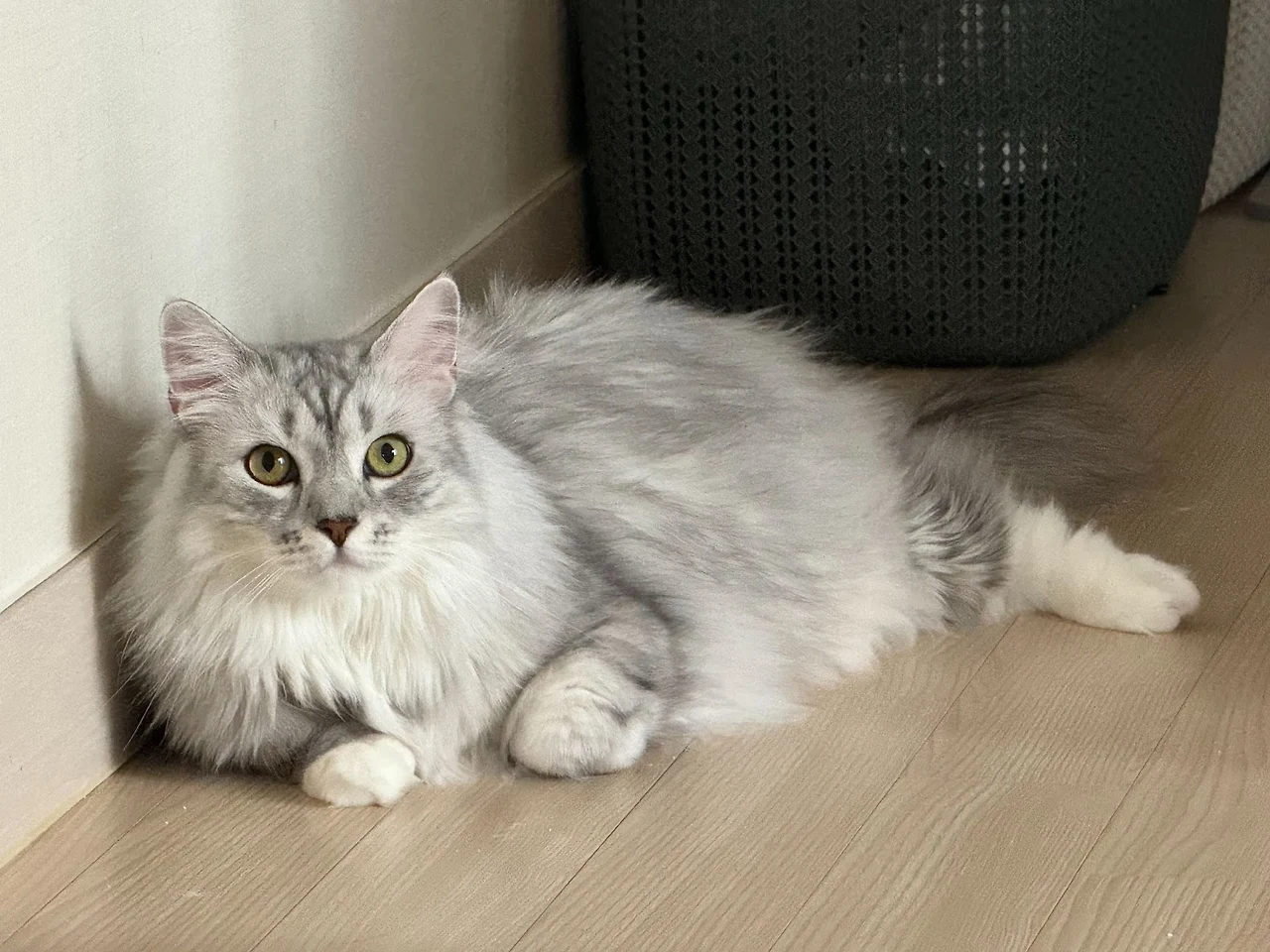 AD_4nXehHoNrRt8ag-UVw7cT42X1dQyAwkYIzaIMcmH8fQ3W6ldN8ztDu9oIyFmx_oStMuy1gU1tu99-MeJZXYkR_qecmkMa8IO-o5Mn_IcuTG3Uuz_QdSqb1-GF0i9NCcsF0LgcxJcoJtqMHXPKChA8E9MtNMFd?key=ChK9iGSwmCgFmeGb5uiDhw