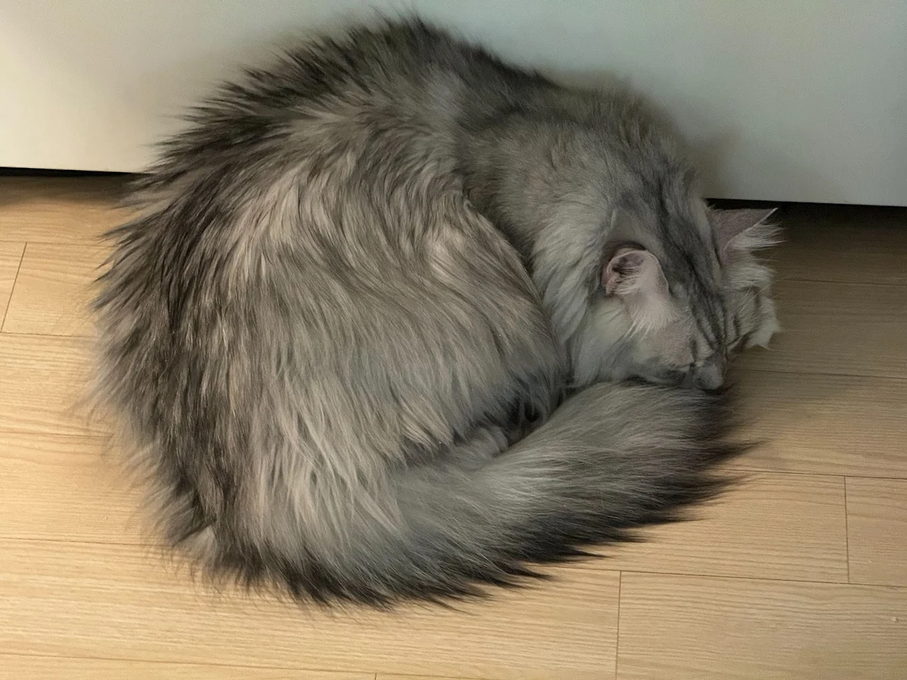 QQcduKzUaWmgHh4YhIbplX1sod8jAvxKyey8o9XUn09NQ5X5qodpRekBTHH2ssV6ppM_EsbuzyGzbnZUCYbgh-waqlsWDKCr1-A0rQcRVipLAk2VQ_Y4IpTXAchkMnkUI3zcmeh96QHFR3AEC2KJnW4