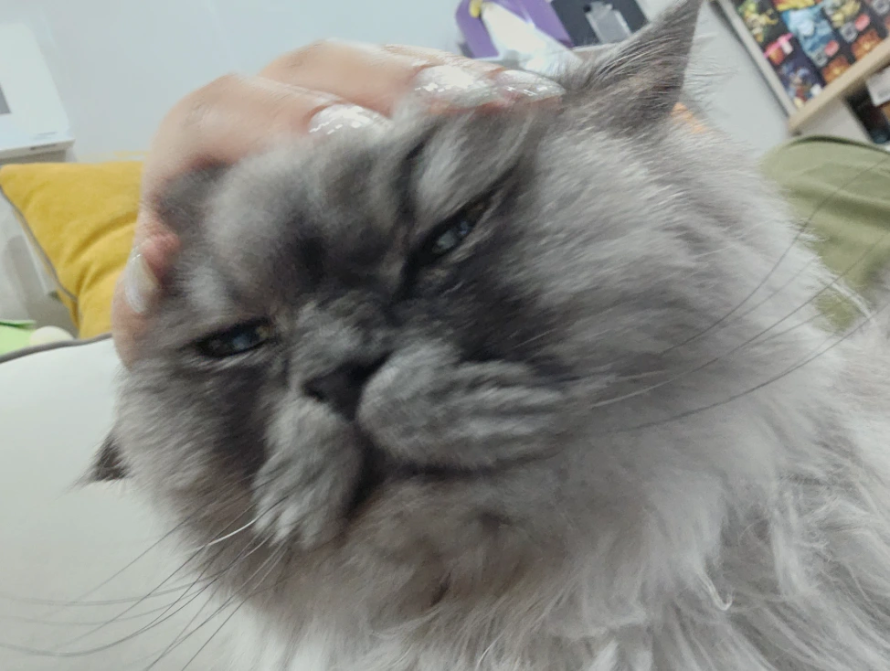 AD_4nXf59_FenmYPWiAfSU8tQ3h5onyFPYTF-febdPF693n5LxcXVs5295CSPklVYB35UHUcJTJ1rEPFT2rVSOEIFriYEZZvxwK1zTdQVXyABGIuNXI-Xdnsb2eL7dAivL-VWFdKpmixxHKOAAJpBAb82EE7k8Co?key=ZH14vbb-2zBB-4p4XnKE1A