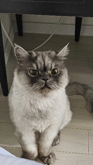 kDSZ4S--xCHQJbqeHVKCwzqHkyXglPJY04LghaZY1shWdvM4nYjMY1Eb1Ch0FNCahyooQpdgBb_K8P7aEkszuzow2dGgk86DYJUSE2zQ83Jagc6sDbQjtZ7rChOgD4QQt1MZ33CDnN_NX53OGJkOsG4