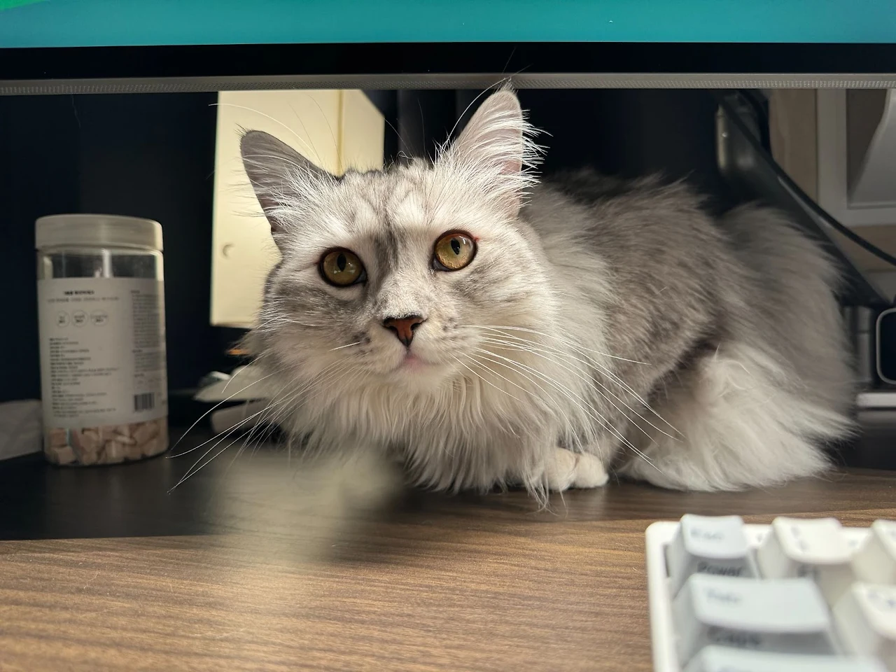 m1mbBvBb7z0IkjKoKpCrGokBdhmXnbzHBYfaCPevw-Ot8981d-CeLBq_xhvgg6mVdloShZ9IfzD13qyMWEsIlkYAFIOopOyYf_sqoHnep14VZf_3K-YihgEtCBte26sHb0XdvY6BsRXs7HPSlWK_Vg