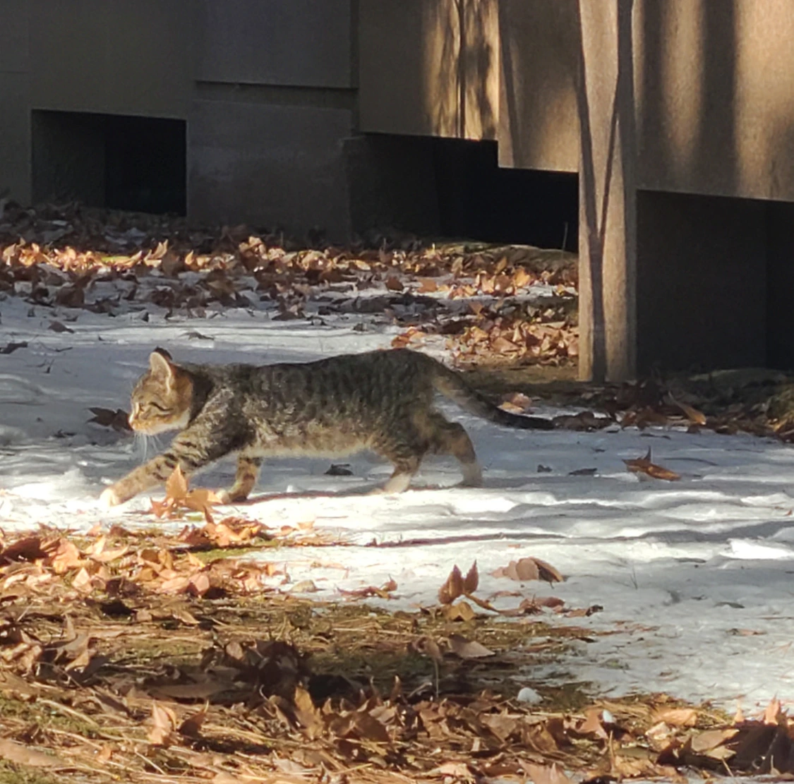 eNhvLMoP9F16Qd8vrzFmlNofwrKYqio0DwF28Weev55fzRqG5uMF8SGekwRl6Zq31g05zHtPCZpCMjS4EZz9k9xpT8BYtcll2vlfGGv2gqpkH8Dilu8_JShGGB8GIP7GbOz5AvK3EXfVsFgEOrRPxiT0aKJC6QMpA6fVF0Jr38QD5H3Azrjd0fUYK0CVzw