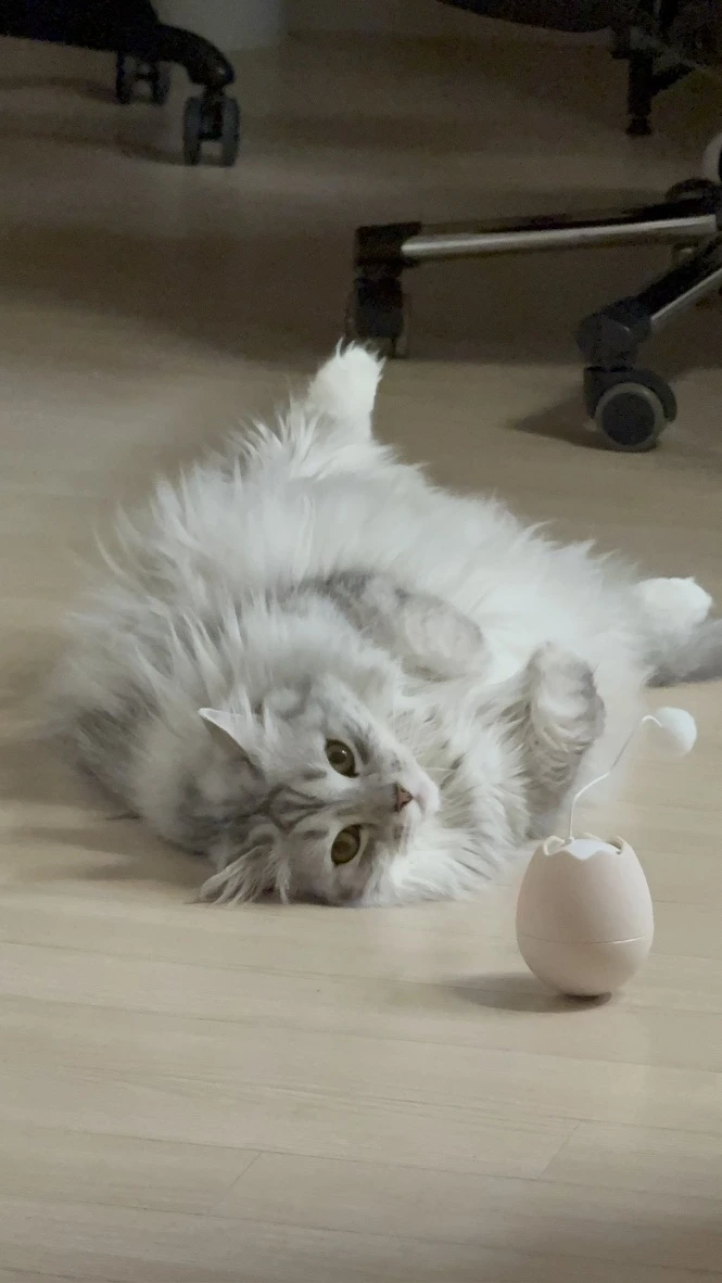 AD_4nXc9HEVHZg6q2sE4Z8MVAg5_rR27bFWw_G6ZX4wIiRy13fuTmwHC4SL6wwYnPRs3zo6caHbXnSQcLQv3oCNtiq8GiUdmNf6frl9UYF6uUPbDGBdmS-7axxDI9iJv3h4cHzVUJiq6bPdzSYrPH3134unZk_M?key=IQ2x9zQFu9wEZnrBSNKja-Jp