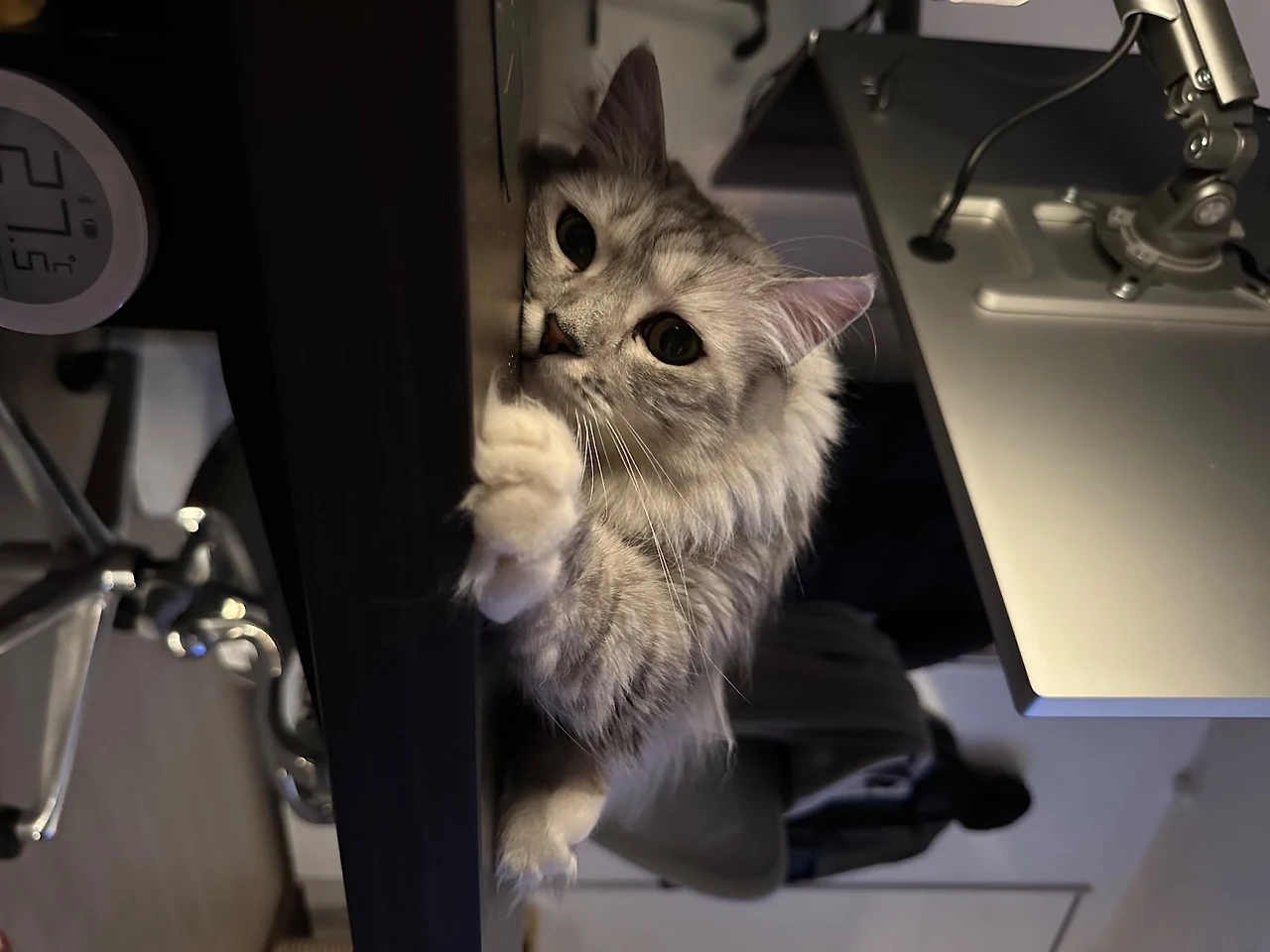 ycehgyZrx2a5Rw9hsy9baN1nFxXHiK1S-zruKcfMXHJUSLxmNexDzYwc86JUZlPsKhyJLAyS_fsyhSuMq6FIRpN7LtMmwlEwO_EltFJlVT8OEz6gMiUBzbqMwsgCZGbwWIdmKzlrjRYzA2tskiXQh-EnMRNnEv258cTATjjHZT651mW6Rop4KvtQSW2g2w