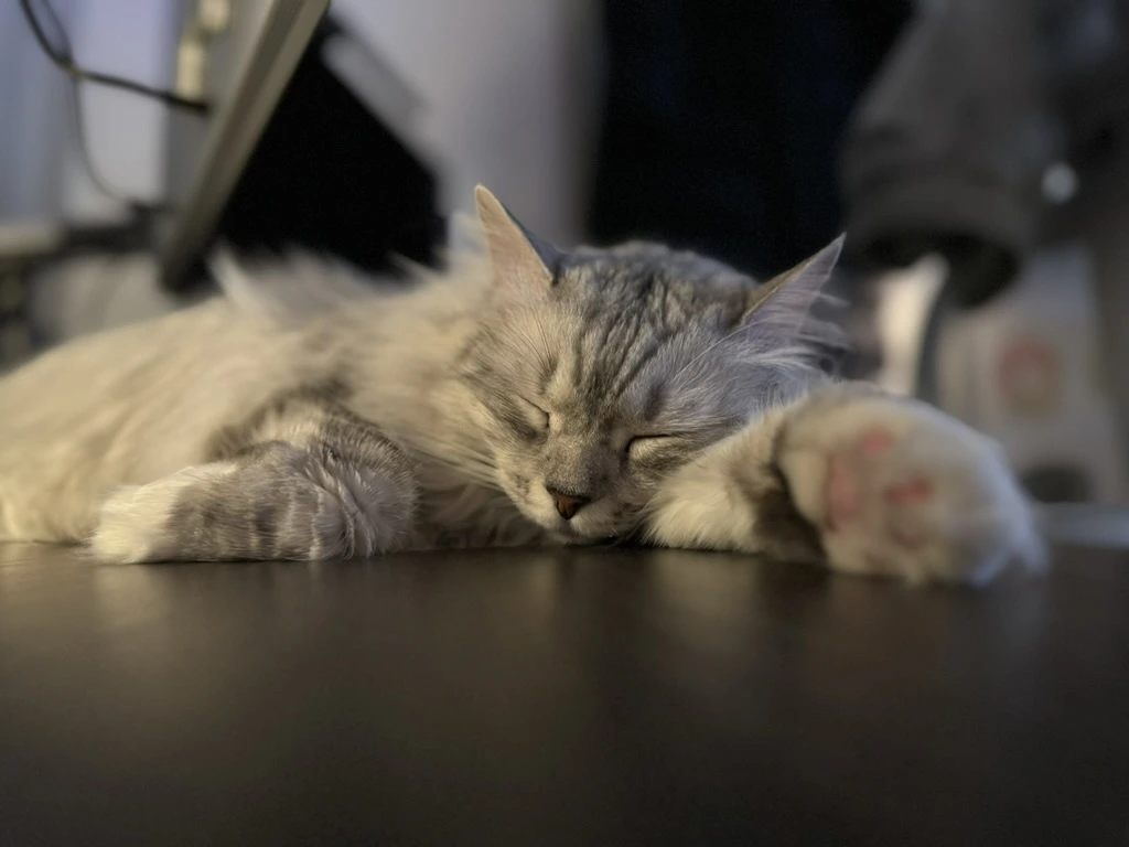 -V0yFNPDE9RBhxPyMfouEvnjOSgJ1GNzyBpUwERjwkXrRNqmcwsdhBFUJ3bnvEPjjLo_bRXjGjnePTHauJCB9-6YbpWFiX3jG5dG-bfm70UVk6Xx5NKfXEIOs0ozVL2YO4tMo_nSbAgBm-u2xQJqUHFtHMF02zuOfcz01YfEeq9tDTcIrvzaITAI_cqy