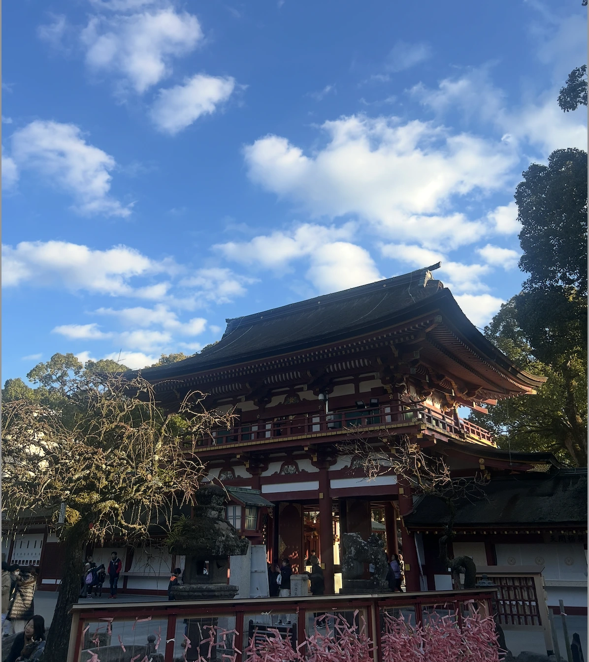 AD_4nXfDPo4B2ViOL2EfPCdTuOnAyqLbpu7U8dVzIdHdLWT-kp6gkwdFxn-RsAlvRP0pDWeedP2blkPrkn4of3vZN8v7Fh4rS9Rm6LGScgynic7c0rAAJshxdjGj6HtcP_Out0u8oOf4jw?key=7S8-Q1MuGkyL2_RqObtF-_ES