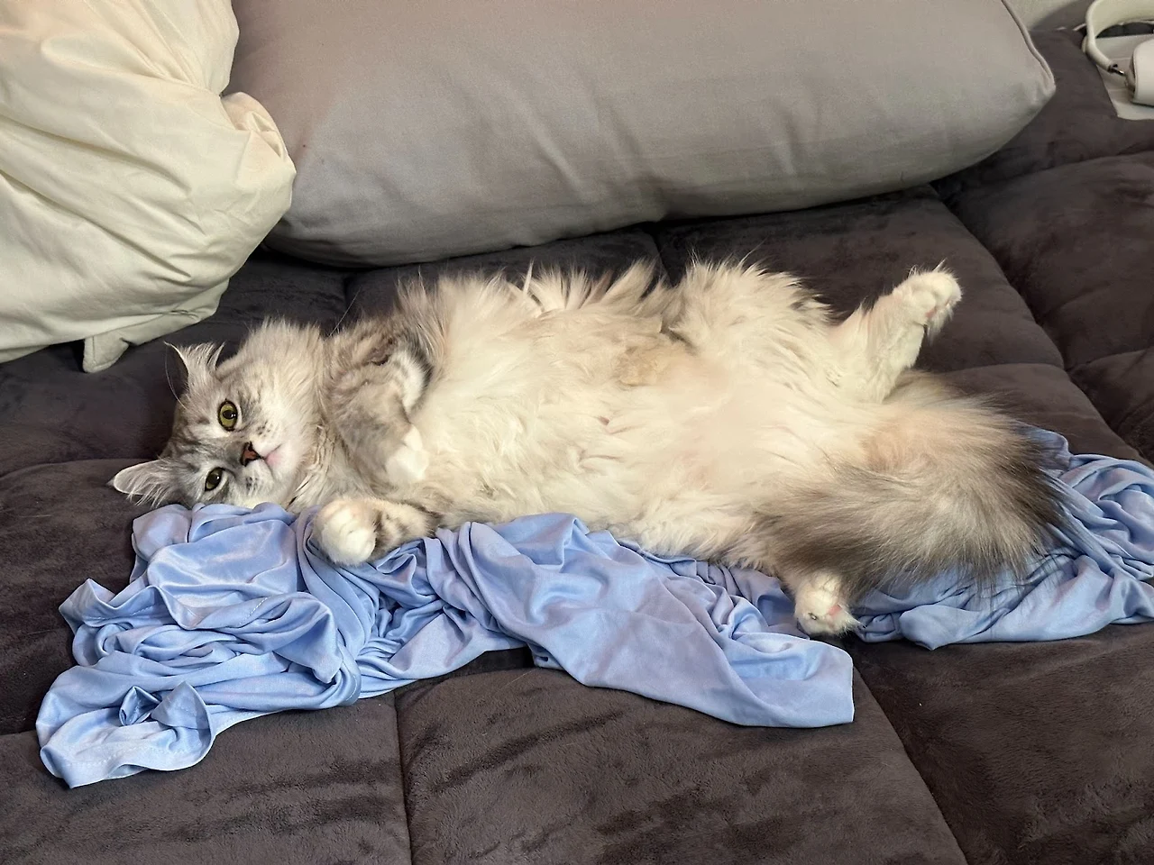 lN_lFVTYJfwBfzZm5whxbzHkmbQq4vIVvTC5yx1k8WXDXUFwaIxOIuJ1xpI3r2woBAnJ_lUTKTgCbna5hYeuDroPxWO0lc7akJ4_e0tcNqqO7EO-sig8H44T2xg8H_rj72QZd5PXWqX1c8BtIDXM5mUzZ1rJm_Hwueq3oJw2VAgmqnXsm2ize4T79w