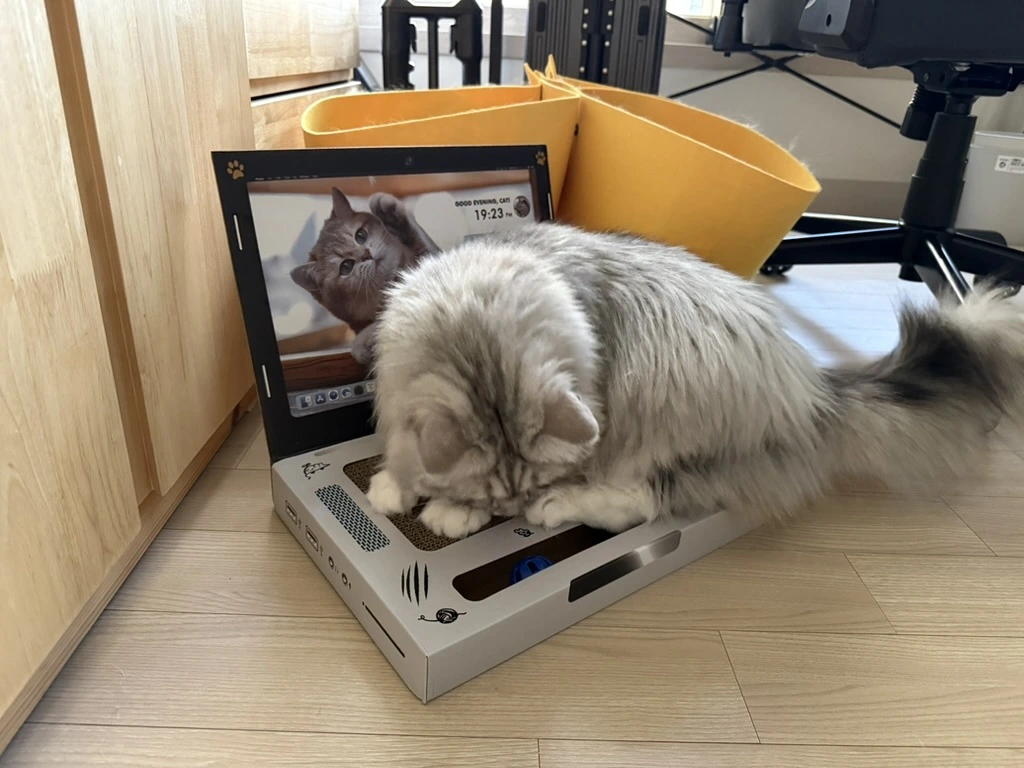 AD_4nXcc_A8SraRzBrn46PxnQwJcsNHx_68vMynQSgir9UiaKEBNmOhZJiK_Hc2pzs2PpH_TqhIxHmb5hOJ-i45BC6CA0SFcr1fcxqrKnuZolu5nSdT3wrRA6hkTJTP4MLHfTI1LtcxkvQ?key=_ublhbLeHPNLQ404eiTAYxjn