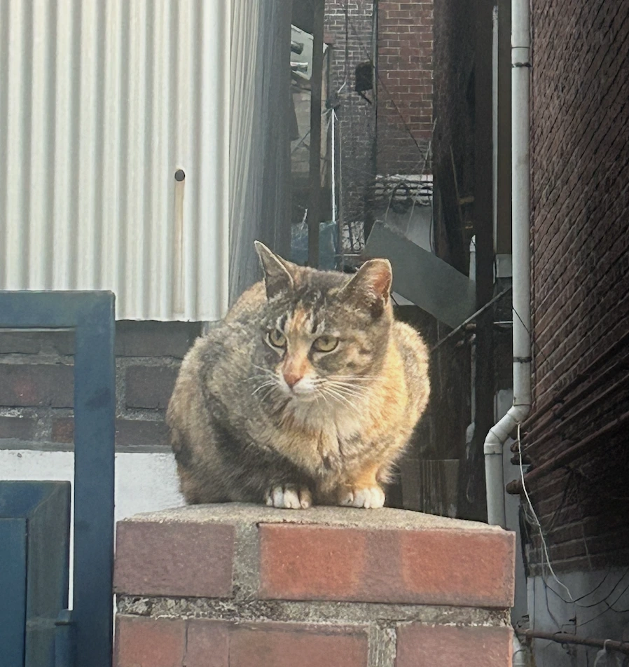 AD_4nXcTp5UdLXgMEAJVZKqy1XzqmnF-VvXCYWOcBlWUs-lcDa24lEmmRtstAs2UBClCj-leoNO2i3U9hiSFYinf3q_a2e9a-9phAuOFeI4t_SQuVJ4knfgh41K46KlycpWOwXugXAHOEw?key=vIzTYcG0QbB50j-xPt82Bg