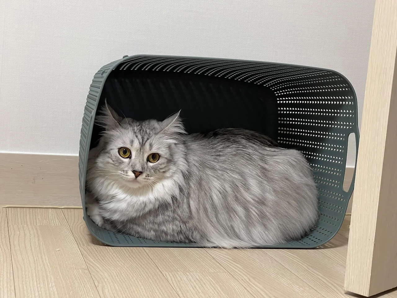 AD_4nXdnrIc_h-djwD_1KXxVoUB42gYln9Gaz2RiwtJRXoZNX3X0_o_BNkn08E854nhxDrrZlNW0k8yMWw2EYyje_aVmF68KUXLI7V4AXjs6T2NABRRFMPSqUI8_RjySsQkh3F-STOECyg?key=Ohe1cIk7X6dFuYhIn5kQK_B2