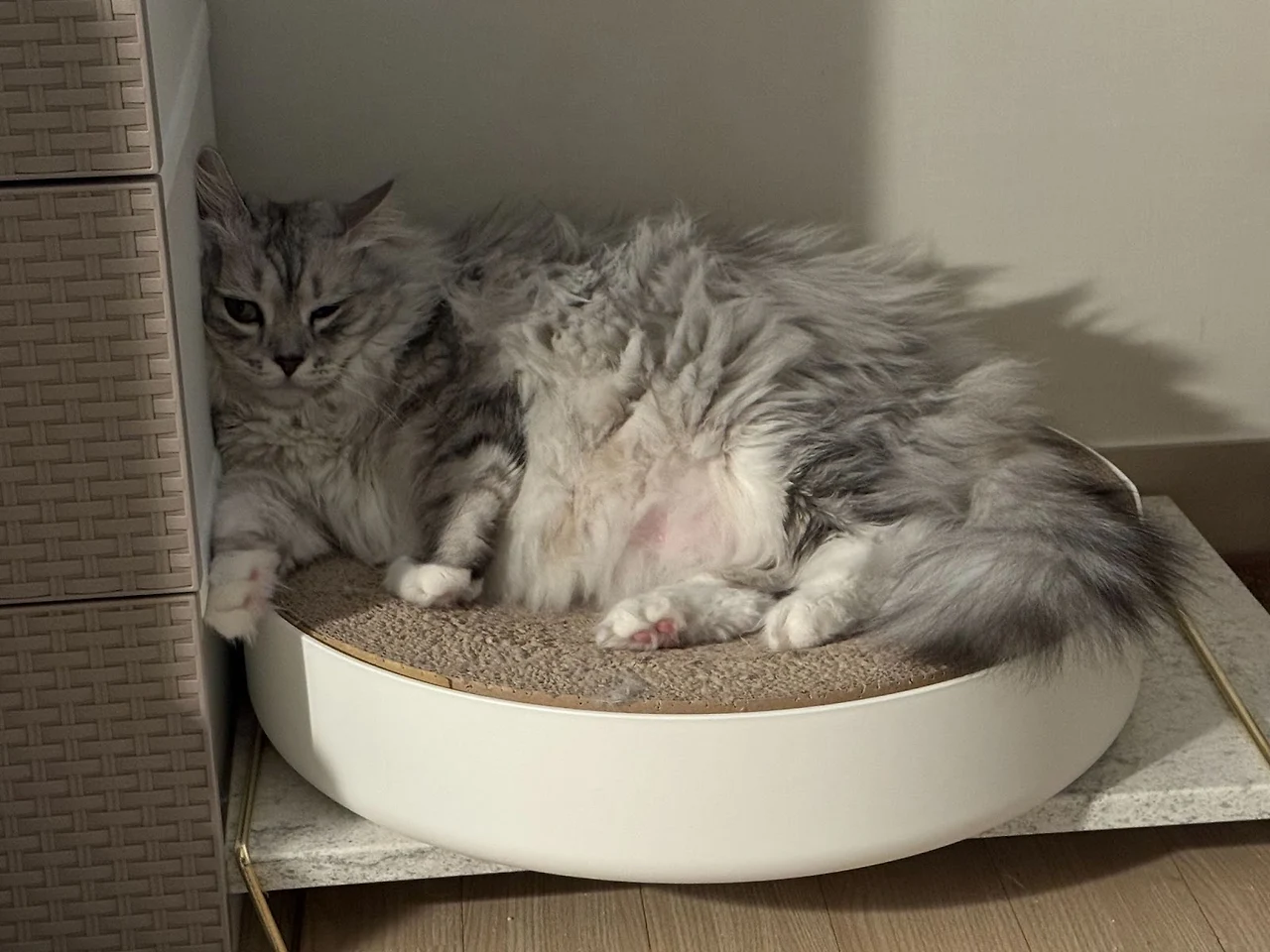 2wM5Qw9JdPdWVuQEcNIzkh0d3FGvVMQOHS2XBn0VsALd_l6fkykVSmXqbOpPWF76iRDnMJh3Y_Qgm8p6ZGrmgqRX4QPUjbkBeGG1Q_DNnyzEpU7fHUhDWx9NRUI--q4T6cFD6H1flWxeNhs5YQc62w