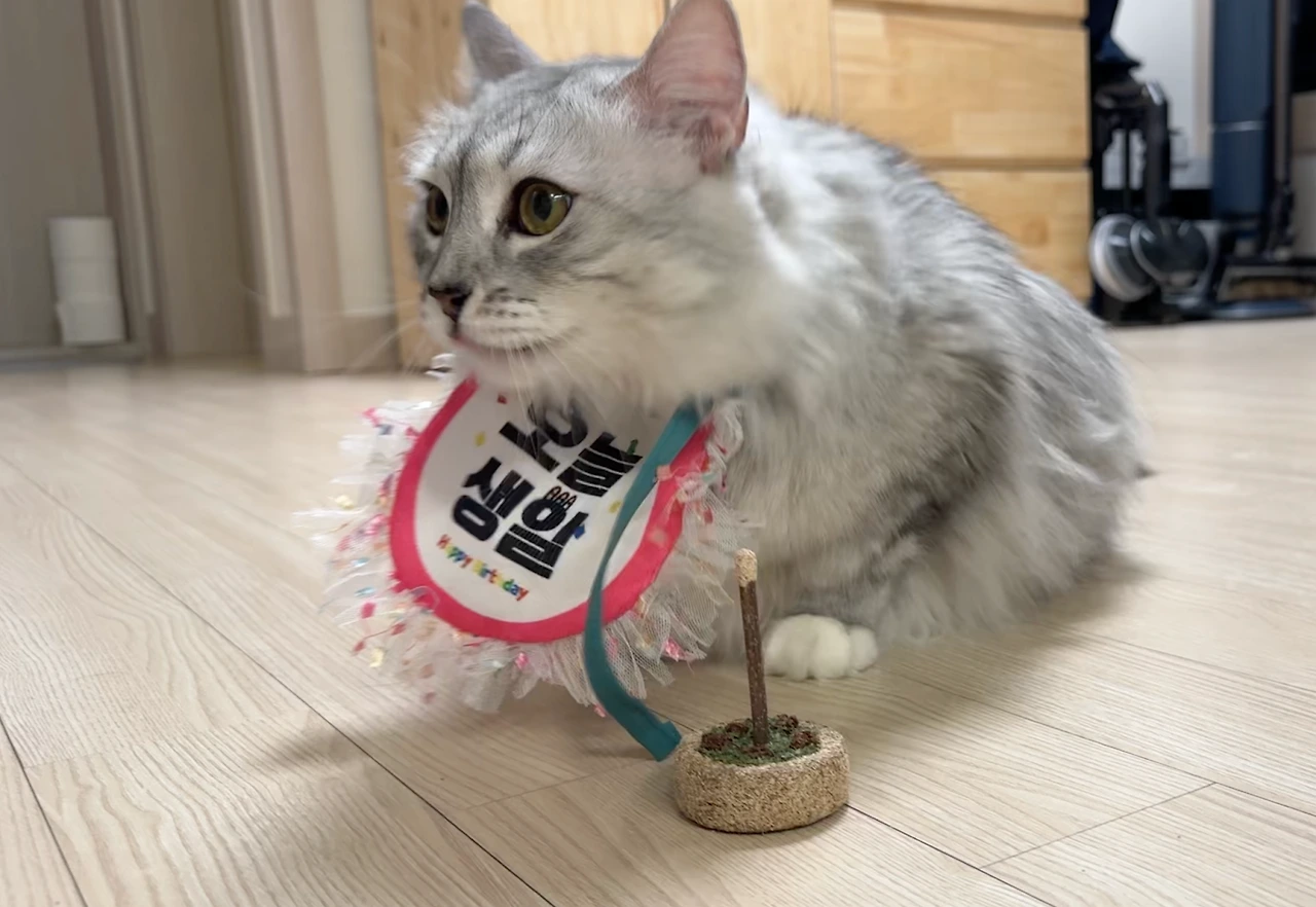 AD_4nXfD-o_JIitnTlz5HD6P3KLeyhCuX5ie1REk1gXMTBJoiLzoXPJqbnhxLy-_HDjKq6u3YYYxCu24EzygPO1L2yWdW26Ei20sVj3SxofmsptDJUGwX25fyYbjfSkwwsJySthmOumQ_VVoIq-0p9WA6YFZE9xN?key=A1l9yyp3mlZRsJl4TF6EzA