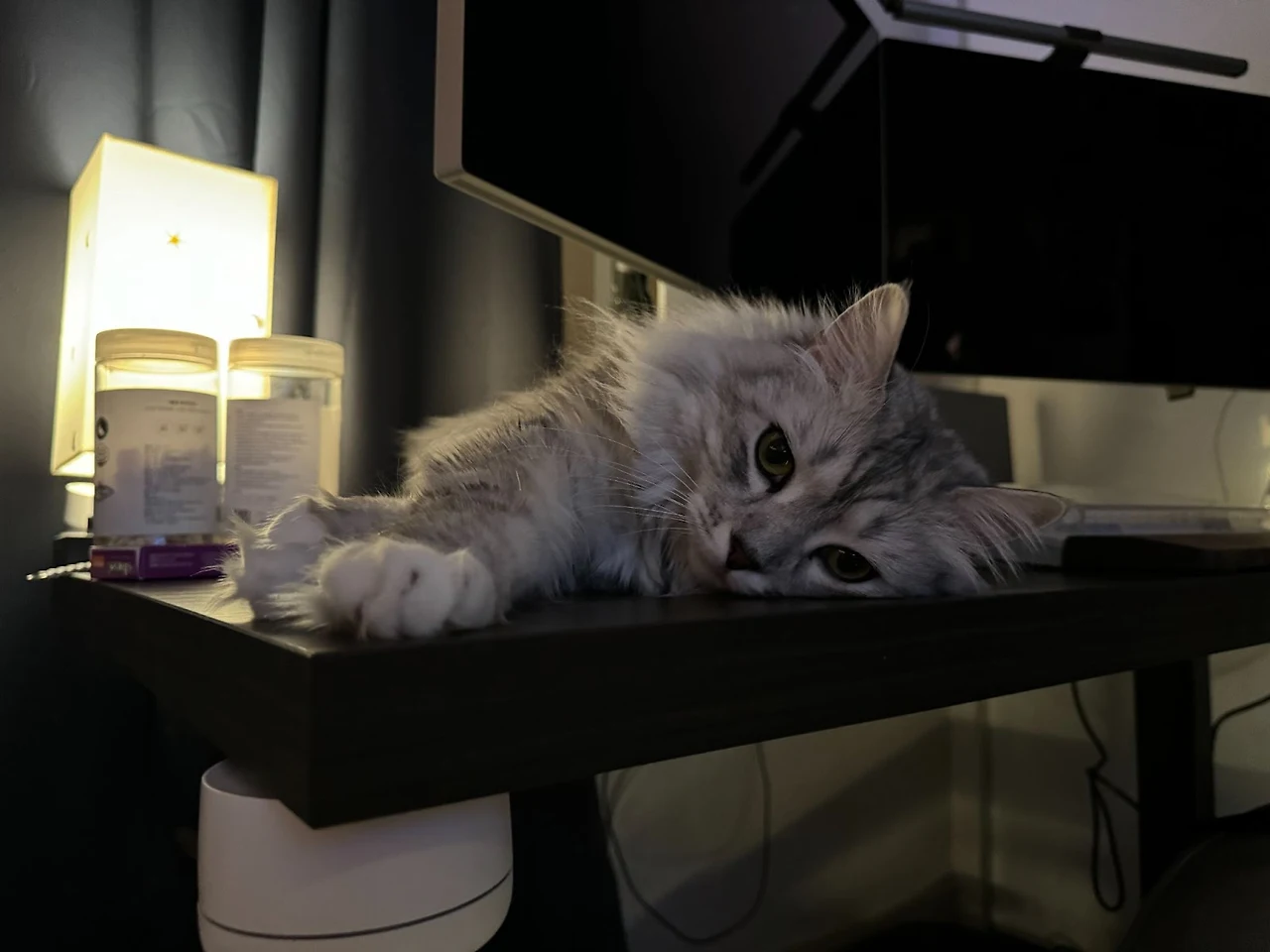 UkAzqc-OVgUJywF1wXpXAwiiMKusVlwAv4t66q0TGgHy2DAnWoeHwxmA28Vjz3_fIHQqMTNsEIhSnjXGNo0CmW-JBWuh7OKsyzJo6Oug2FIUJSGgpAsnG3AB8qSJ-ta3Y0agDMYaTvuy49yvJOL3Tw