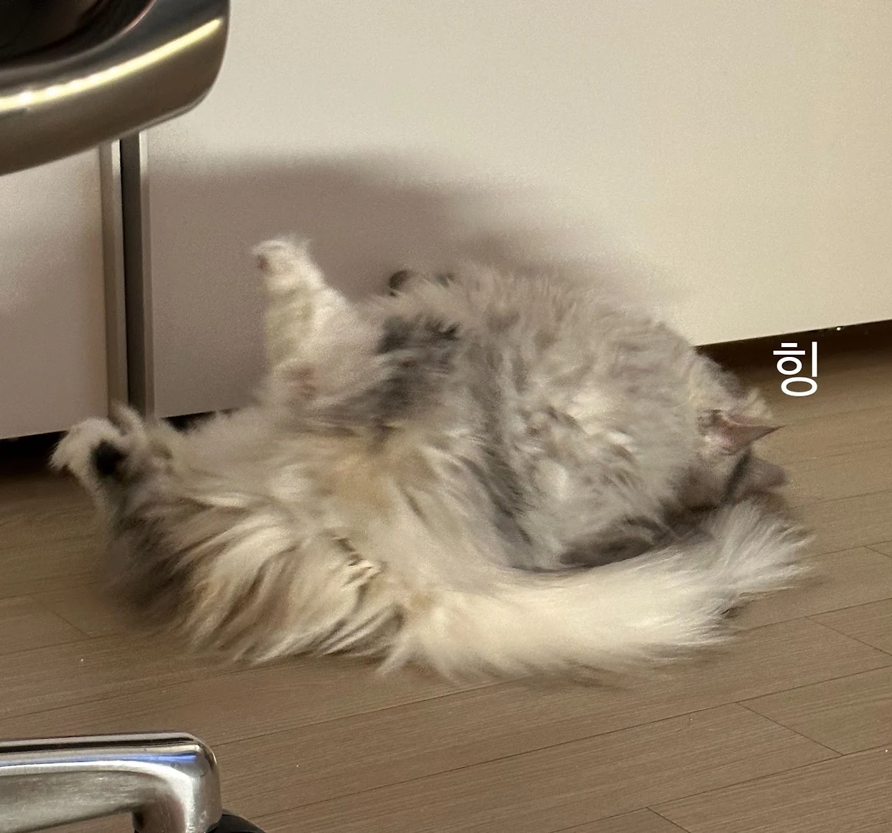 hnpkWhDCdJON_o57lZeOE_fpJt5Ml2HwpPbpXYhRxpfaiwnfJ0FZdx8Fr9jQrQeuYBhmpzhPmhWKwbMFGGNcqW2rdAFeU9zWOXslt2xpbDbODJ2x0qvdoGOEWNiVH7utGpdz5as7NL6T7YCeMJnGMTATHC5BKwycGVnFSk9mlGYhGXXJhM_GiA6Sg0QlrA