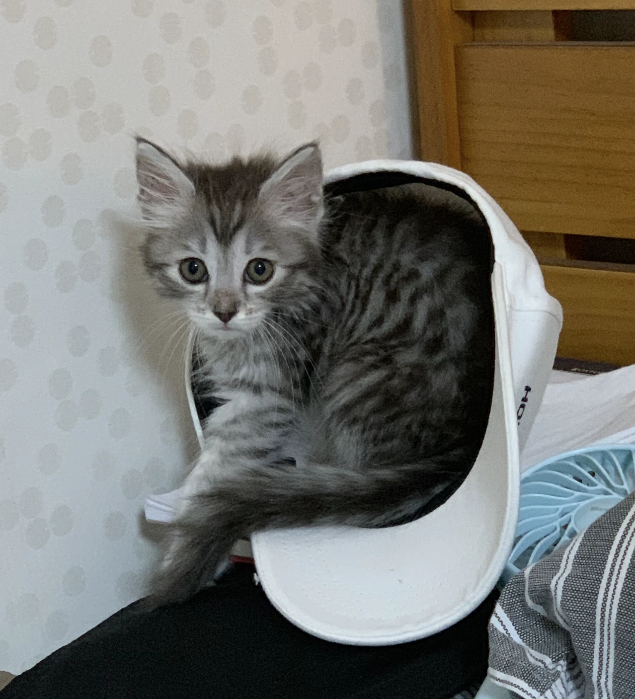 AD_4nXfVps1BQcyDaJ-oUvy2KtoqfFnzNmdJMDDoWtriNp7nAUuqS7_fCSevKC5KHsq7Ejj64zIlBsuPOB1aJC35dHD5ShnXc-W9aKDamrQmhMArN-Ir7GoAcH9WoZlKq8YJPnBq8at3g33ZpP4ikaqi6GDVGDEK?key=UST2UTprBL4L9u-qF9Xrmw