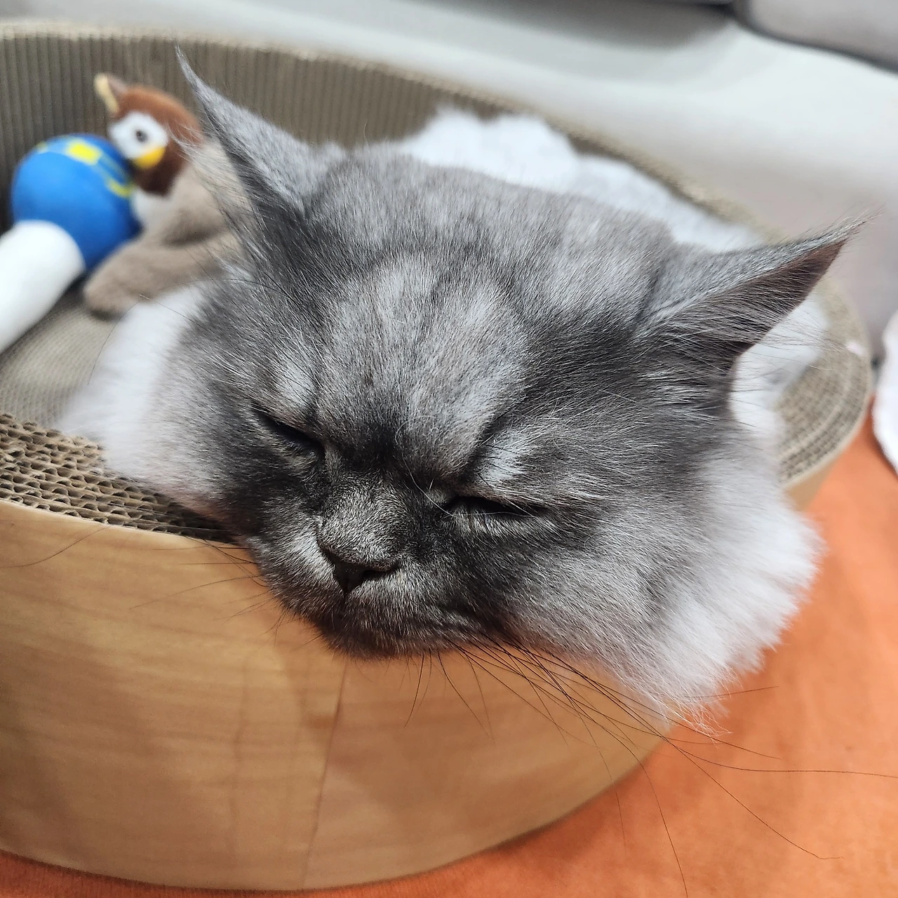 AD_4nXcbGEmlqVjyk2eICAWP1Srfr2T0IuTSHDYjzkgg_7_IzN6mcLVXNugTal0umgwDv1deL6wlSv8t5FEodldvSiHwb41FyLO6Mz4hURY87Y3Sk30j_BTAGWvrfhnmW3oFmDvxvoU_?key=9M9JHe5LHBLCnFvgUEGRTg