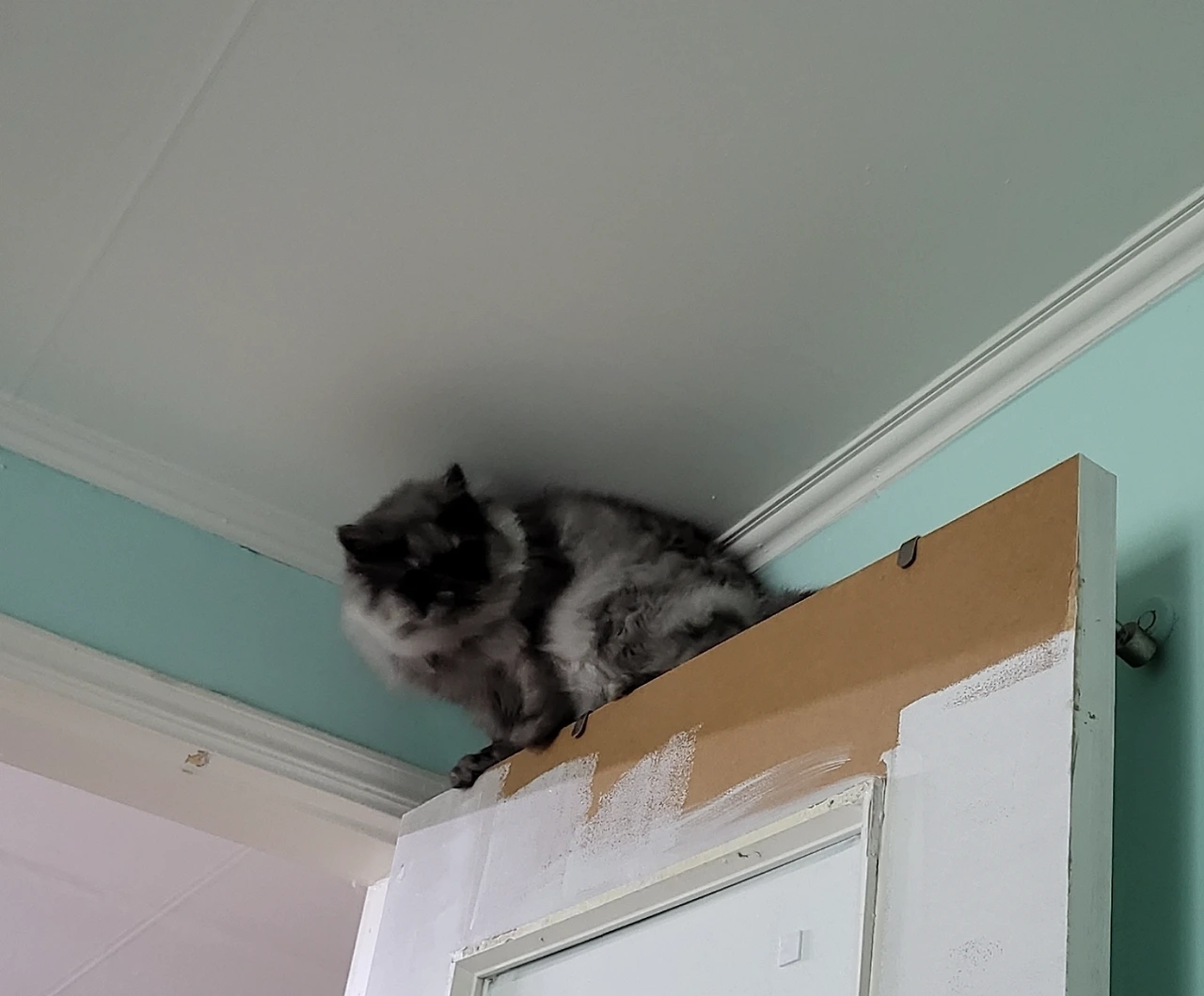 AD_4nXdpO0LrCU_B55sZGN4xYACLC94jwG62RMLpXyaZ6t_ujXHOyZcaEzG_UU1RfyQpQIeydJ1841DXG4sVUskIxkeCeLrX4vgr210D7-DZ_XIh99VLCv-VSj4bPOen-UqkY2nMT0fdeg?key=uC5rcdEFncF56eXW6m-WXyuR