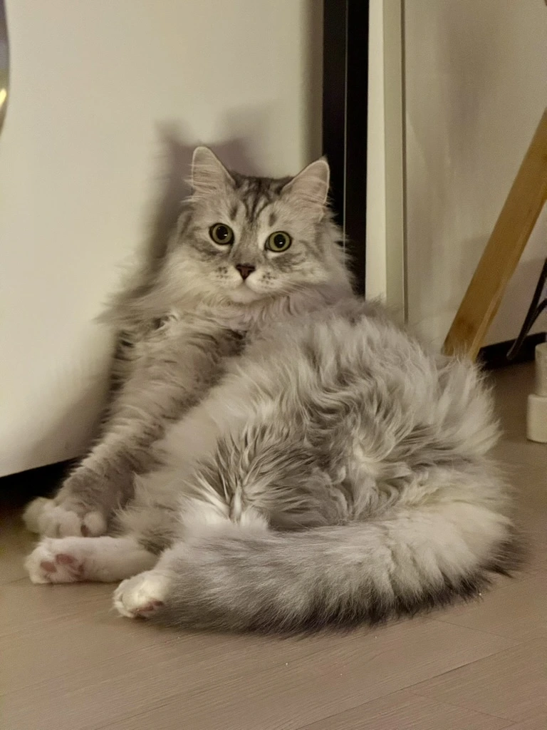 AD_4nXfsyRsIGmTX7r_0p_Uo8hq0GX-PxDmeNuVv5vs2T0pK1Ccx1nz3PSlSFXC6L7V9cIg98a2ZNO3msKy8TTu1IWUelmUXuS2SGYOw2Jq6TcQf449o5ZjST0RX0nJT43D1XRQ2SV1MMIOqlKmakhtkf0BVf2w?key=BzcFb5r2wtTrLELX8uYfSQ