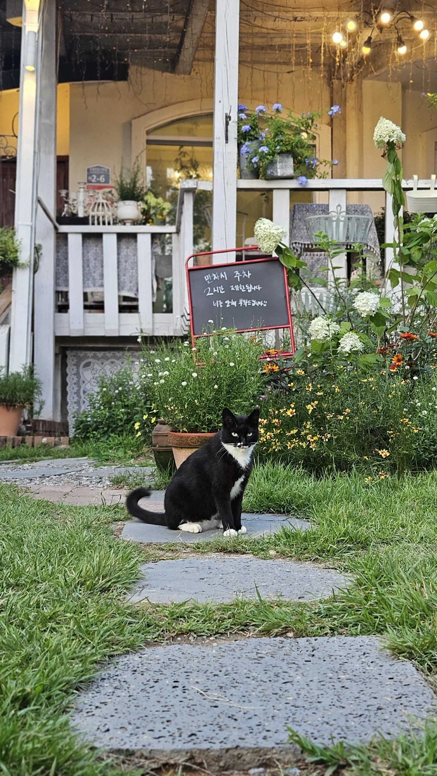 AD_4nXdom-YSX0i7rIGL2q4oDw2NdqREFrxbcAhdkHUsuv_c2YC4jW5U_2Foqr18L6a01fF7LazcOQqbENXPs_i1DY6VQrHPMEhb173ZeJJadLUuhk-9_NhJDBC8RjvGNyqa4eZqRJusrw?key=V1SGMY-mJ0cwo7Zd_FMFjQ