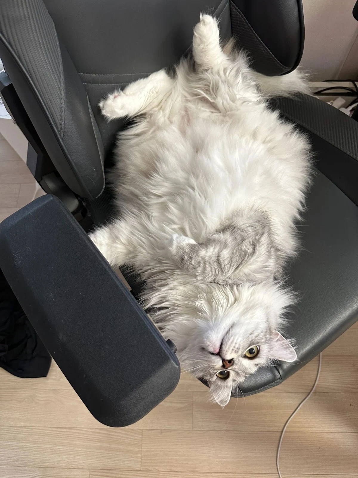 UeDkOb3WwKkV2LkX9bwYsT0nKUUlkIGcGR9nxkLY49FyPqu-kNFYFtLIqYm8t3V894ueGevSvLIdGb653B20h90wtgTYF_pojzx3K7T6pS7Cb45GkbVRnuTEQuo2NWLzelpkg_y8qocrQtWnBF4SfmM