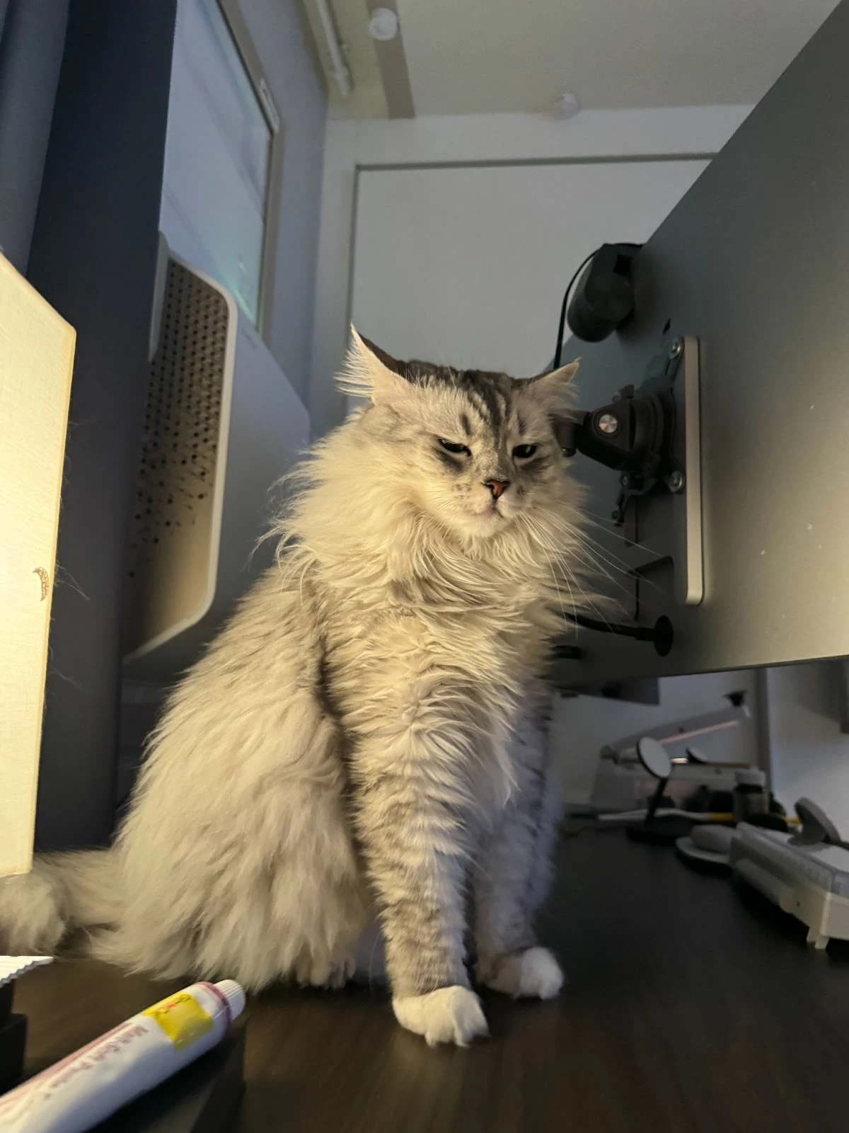 Cff090lIKt1_yvqtADqy0ipYq3fzo7tnVBAl-YvTjjaMiBmxStV-9e32vYXy_pExzAe_cd-HJJjGeNoAZB-NOYwtP9Cgv6LDg5vJRi1SQd959AXFN_vxzfCjoLnRcb384m1jhsgROzUvddR-aVQp8qE