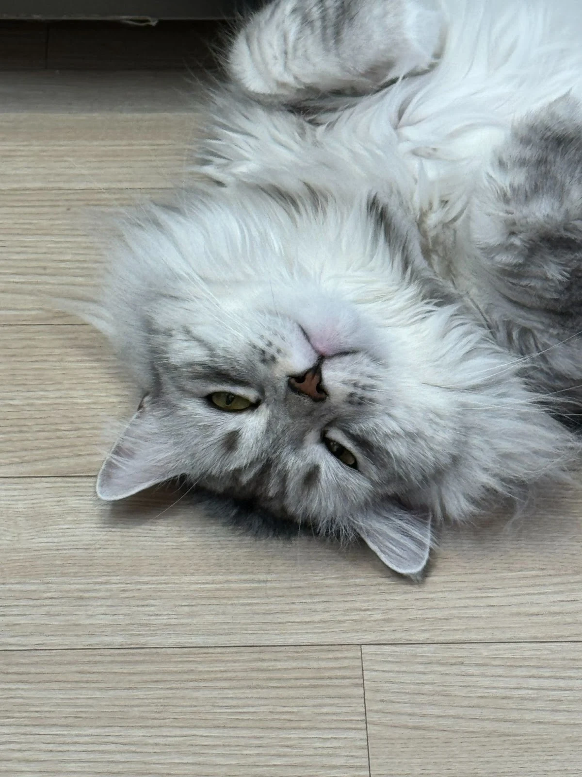 CpFcnxk1Drtxw2e65bJ3vDPmtuLg6EE8jWadcHu2Ri6MOuFHbM2d_ejEBfGE_v78nK-f54DNvh-QqjRCSJJXiCPvVlsmF0D3Ibt9thjmYWbPHmasT3h4-MAdZEAJIQBclhZSgBFJeZZ_Kl2B5T3ObpY