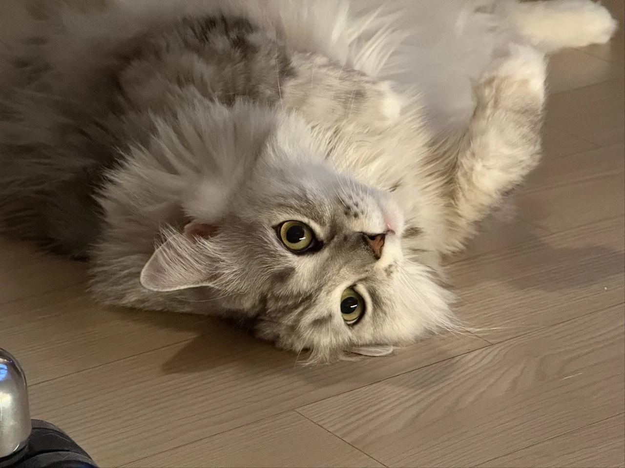 AD_4nXdiNDt5HEaWaaqqRiNPz1Q5a2D0QG_KcDjbxcoc2LB17GVKWrGrVoinanyRfJg0dqQkDMauONFYzbAi27dr1QYozjJ9WT9eLaAaTFezbnqD1AWNyn-J79WhuqkoiGRZho0Ngs7R?key=BRNX314EhcIqYuhRIq0YcWmD