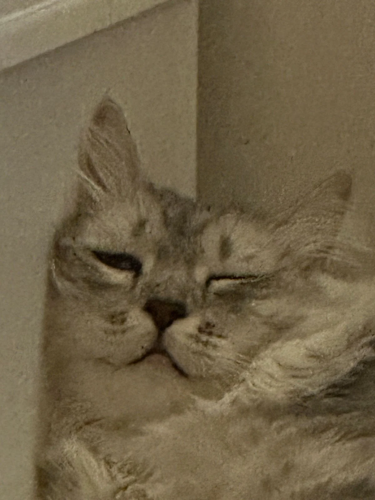 m1l3I8bwT9Jcl4jfRQLIsaFE7-n66L3yIKpUjLyJOv5UVE627heiTytjkNFU6SsGwaNOvpUHv6kAx0gn3qw5dnz3C8HeY0BHmUdGohHqaDxHiWvEjVe2XTMu7-MuFk3XWSYICkRs4VqWTk3iFMXQx1A