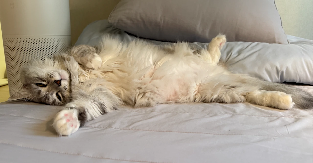 AD_4nXcGKA9o3gRZXsMMIe-M2e8COY7Snra-1PlwQyW2Wqvy9Wv_4MTvcu1pXRm0mNbBx_1kwfphXJ4PFFL9155dNq1zaXCUOGwLZ_QQjc75eKUnlJEWfvm7px1ZCWJWW7gqhEoT4cVyiw?key=Ohe1cIk7X6dFuYhIn5kQK_B2