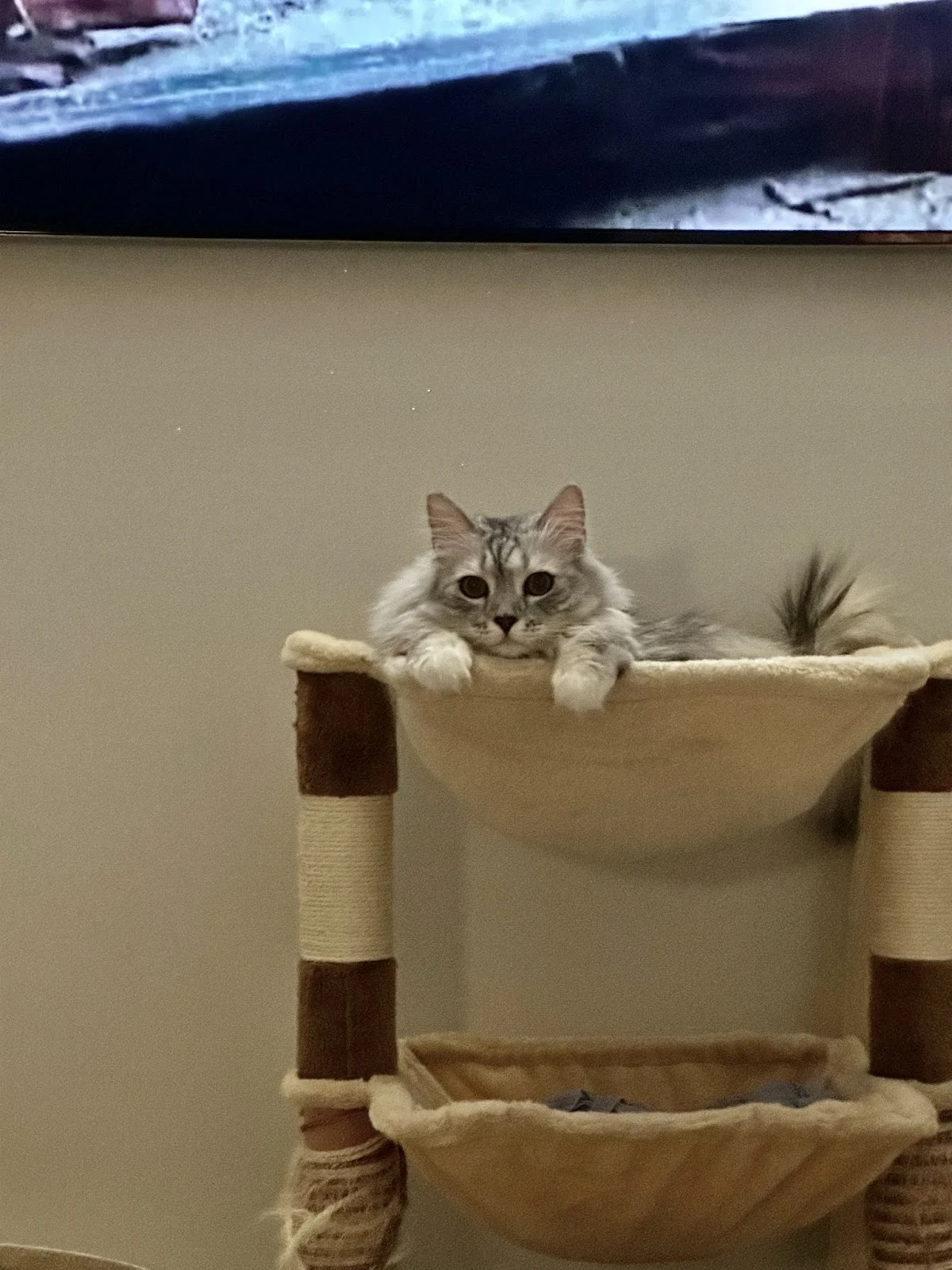 5YIZ0_0jrm_aeM-tf5JNQQLbkyzZBzA26B1PwgAebshB7aokCwZBX32uf224lbc1uGykg0SRO0WDHLQDKr5GBP-tFyc0HLMFyd75tZASHwqYb9joFenpBVCIS82ES1cFxshTBegHyI4MGXDzYHQzP4Q