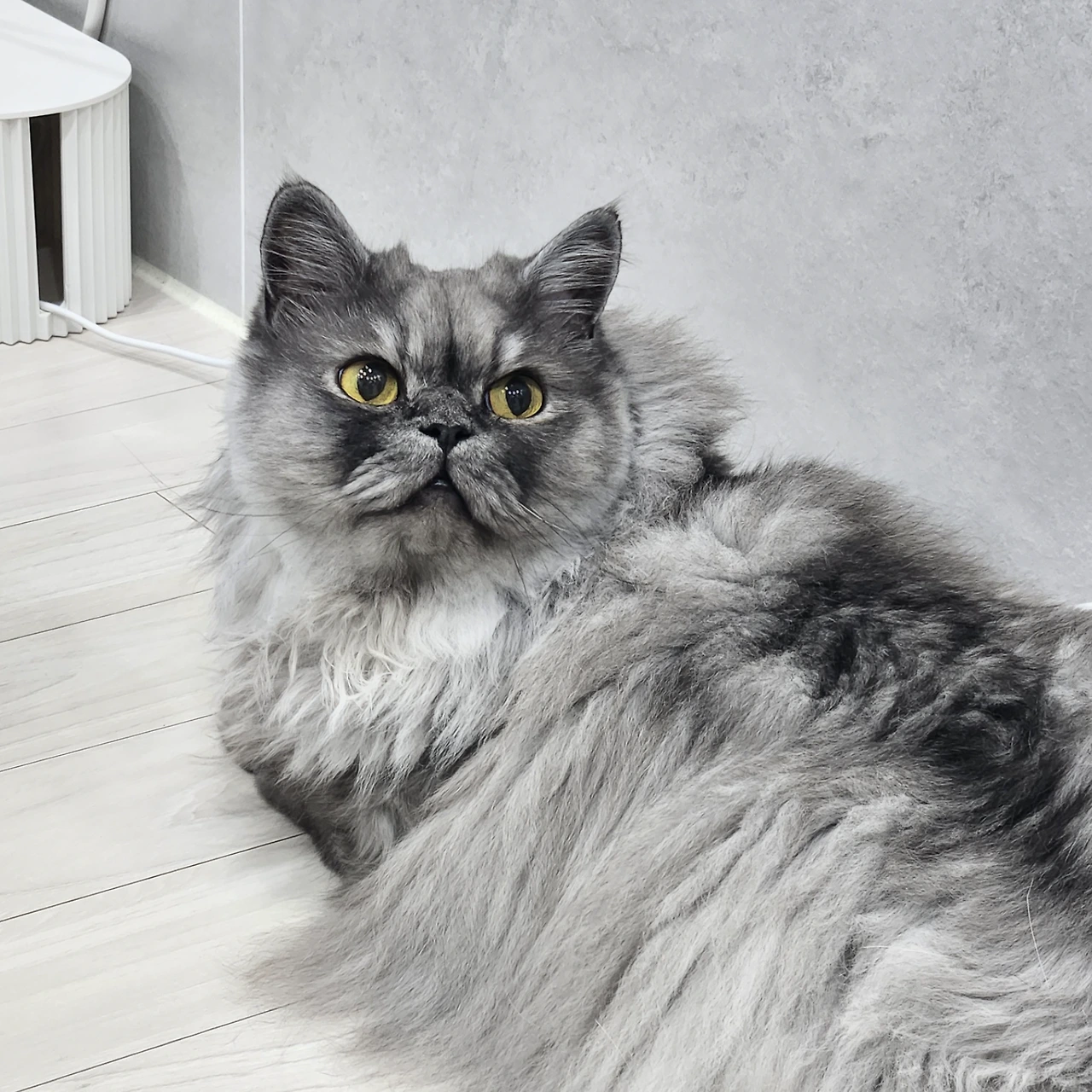 AD_4nXctkO8C_dBVG1IxV4aGEFuNP0Z-EUCsd47o1IdCJiIBGS1pQCfJQaRTL667ROEJV3Dv_OLOqe01djOvgZ-CeXl4mGsLUAXwQHb1FmN3dpMnaX2xOeigYOQgvM7YPxDqjnPKuCgDsg?key=Md2wbrWcbTDw8WpaHQNYlYth