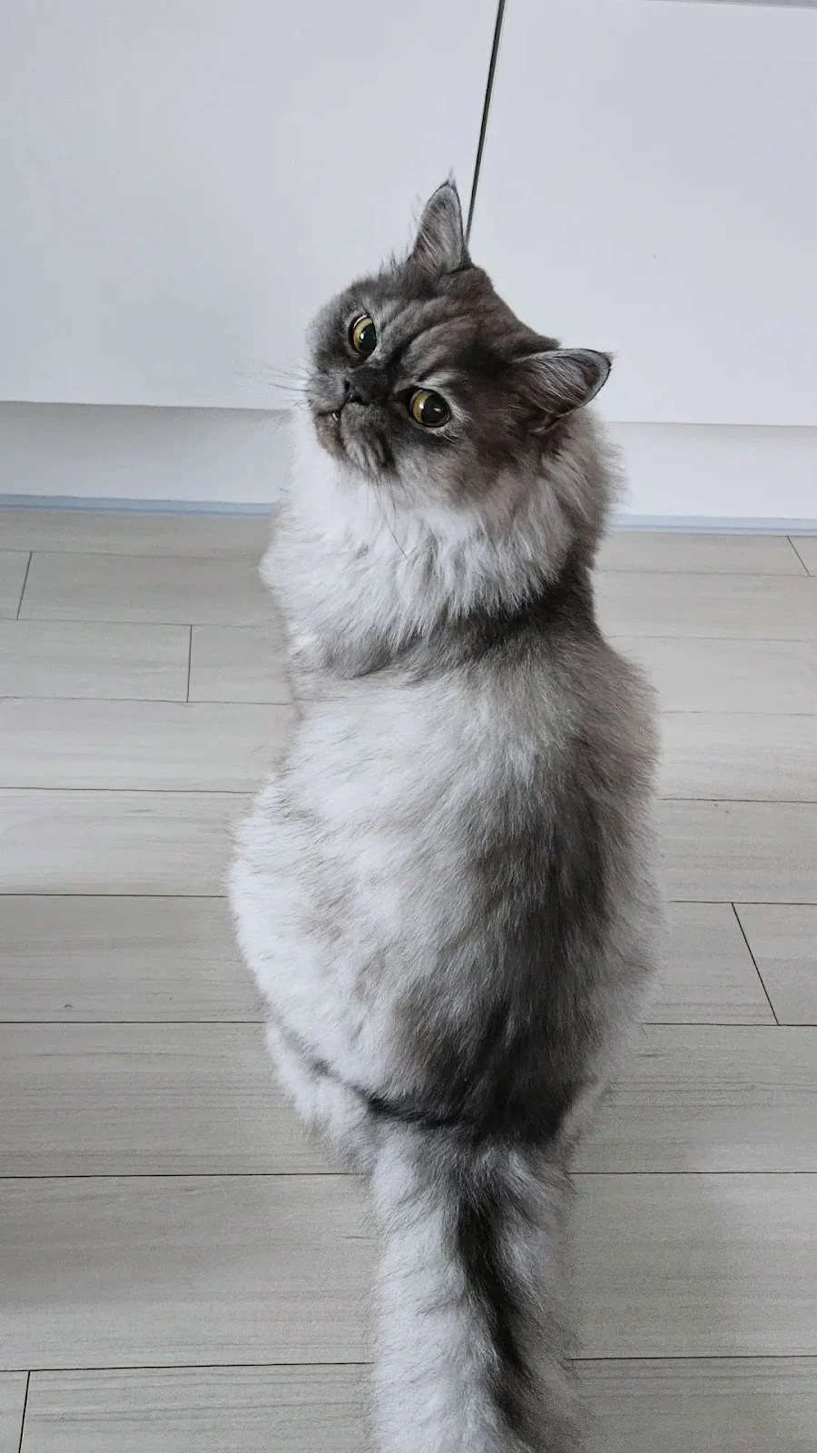 KRR2zxcU6mjbHbeonHrgxzhlVpwc2FtrapQEr66gXGF2H7xdG5UZuYuPpGz9XE66M9Do-5BN5-Rud39r2vubnUetLN080KSS_Mjz0Y8YukBYKMTF0IsELRNwhMv9-iSfCHC3zyusvaY2NdZiRQUhTOE