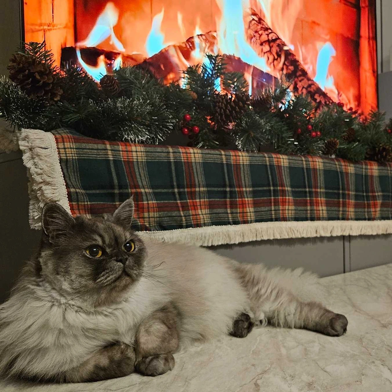 0SaACtJNhNQQ-p5r5BLthrhOjs8bdwa72N1Gk520Ia7zEOCERWod7dlFKaVEt3zv1zrh6JlXhRCNwQrbik1OjjAS5-XNT5i0vx66XE4D6lv2dDpHwfwLQIie_vn5l79V-RVziX8MnE83eIqbhf49XA