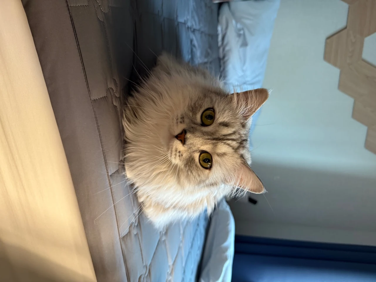 AD_4nXeiBpPit1VQQiHbp5xHFQWBf_jifCqa7XlWg3s5UyASSQRNQWkRxPCAohmJ4xjiftQxoqZUKfsrgHJxWR-2Jmj-_GyybfV3PfEP0WEHcEuTcMb2CMH6jSZocfKw1hyXCii9C94-BA?key=vIzTYcG0QbB50j-xPt82Bg