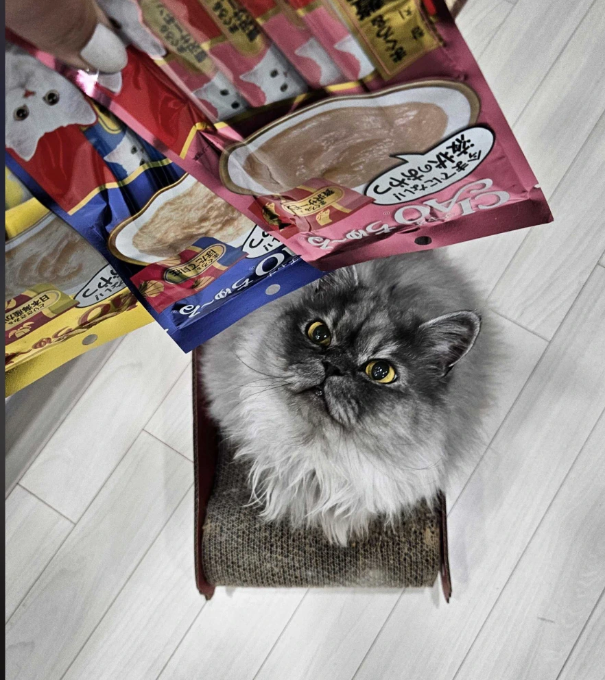 AD_4nXdb7WJz4Kp9H8wdMJTxFF5jB8mBcxq8sO1rGrc_ToFYLIOj_U0tF7eYx58hCqUzWJto9p0vKF2p-BuiDhEiw1ku3XFFkBZxi8-8AiHqqq5crFE3LESPyuyieZwsPs9t6mDCasRXbQ?key=NHTdxX4e9TT9arLOWBDgR7oR