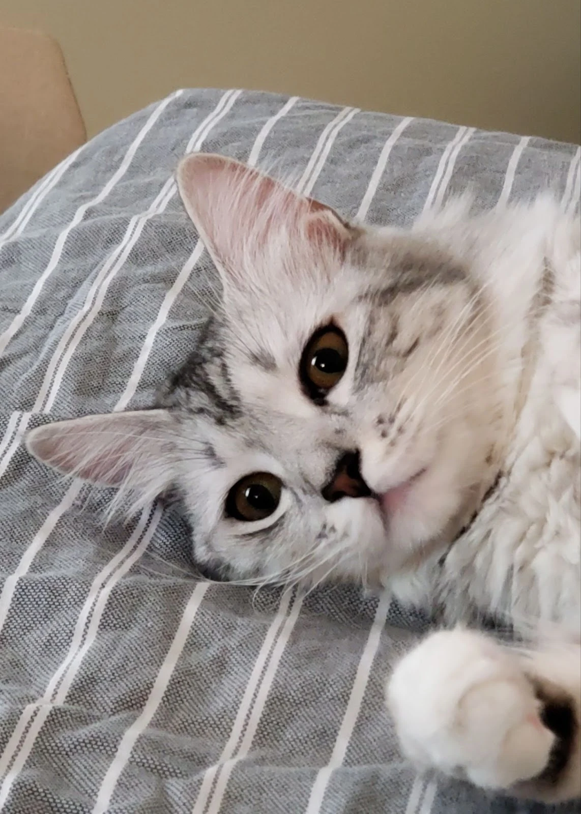 IYilLr4lFcxZTpb5L98hkknqlnK_3TVi-0v4zS0K5nhRHW-32uwCy3klmpUxpemo94u3G-4n1zFNejbcz0g4YGppEOIKRXC1HF2WerVvV676aX4HhOaPvG3PUoMApv0q63xA2UMsphA_2fiU--uS5Io