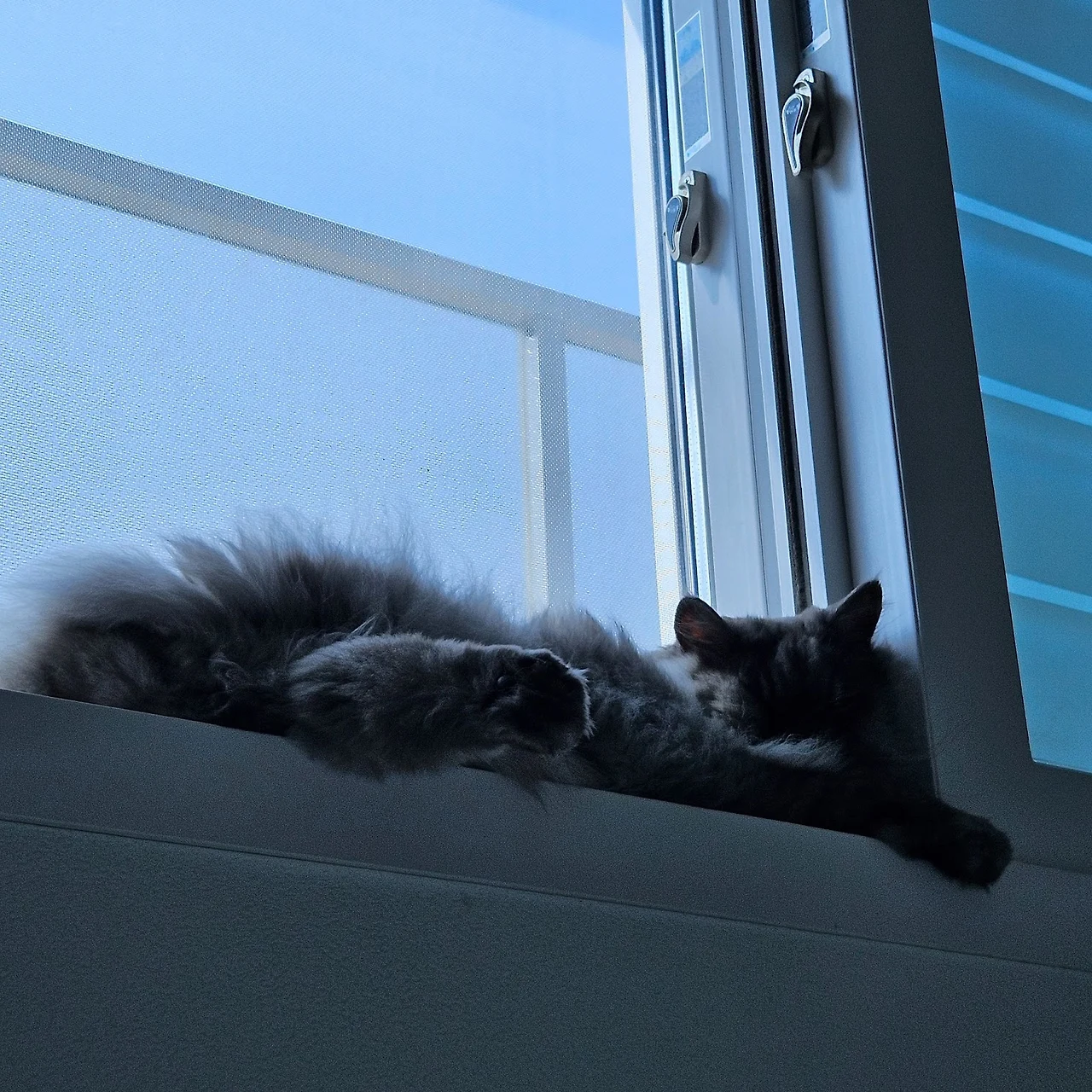 AD_4nXfEeOU7FRAKIBG-xe4ir7_mDEoHK8q7Y6MdC3PyXXm0LLMPHnzhlXYyRGPpWt-OkQG69wnfch_aFQjGjbBIahYpxNJwa9FSJ2wuG0ie_884QTOBq0V6vv_wRm0Dy2jYQfUmTPsX-X6ETAXsW7APcAP6uaoi?key=RRJKgylQZL3NbSowq5Ju8w