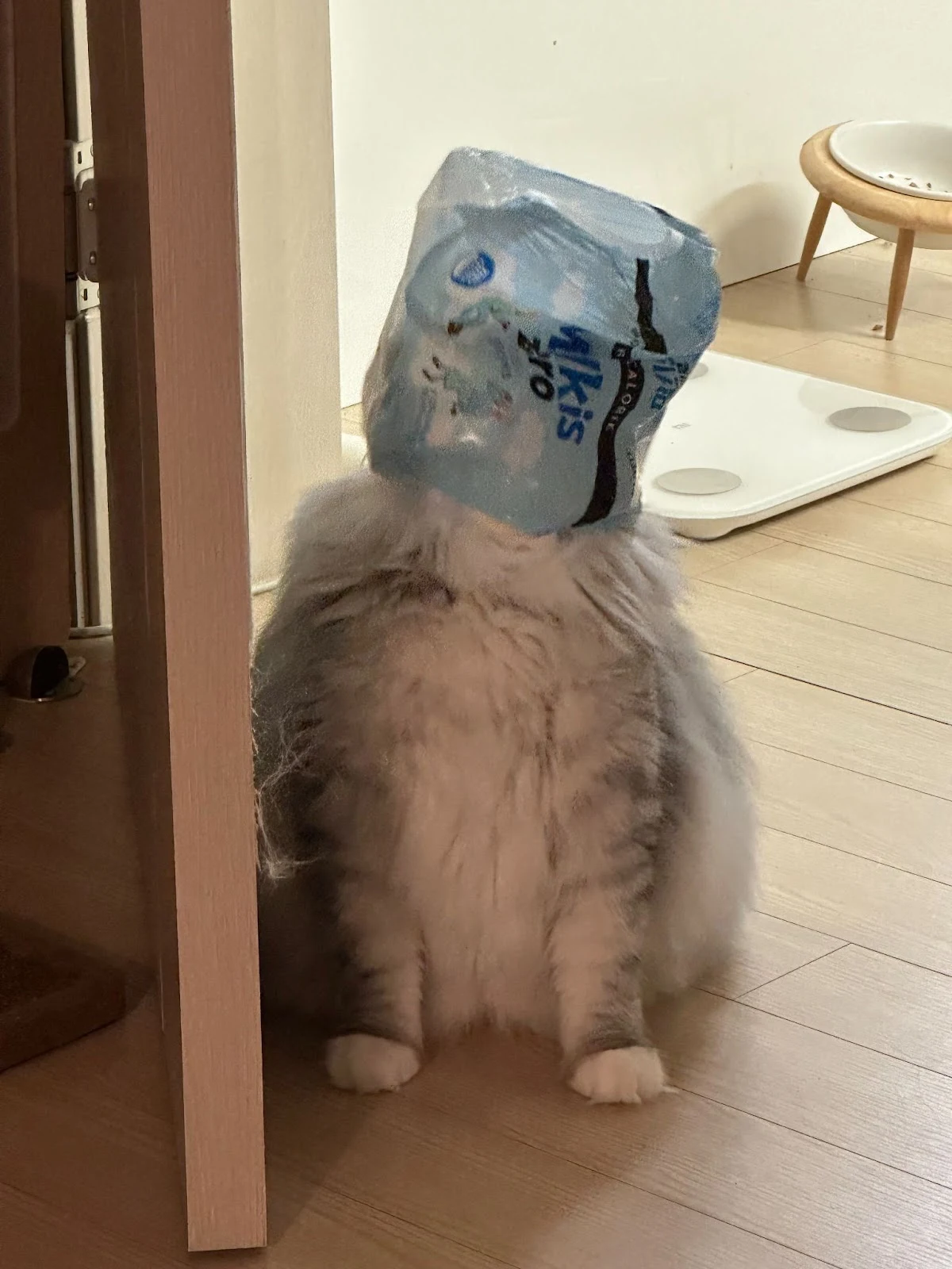 R-PhuO-K_4AweXKMC0_S1462LJ2qvgyrUn7qv9tbi8GAHV9ZSwRNNXzKwZIrgZhchHhbctOZbc3JsOY7hiMAVyNsJsGCewuPvDv69dBOMnEvCzVwWzqH6eci3ujgu_Jo05MSy5eLl3SkRFCwabNnWc0