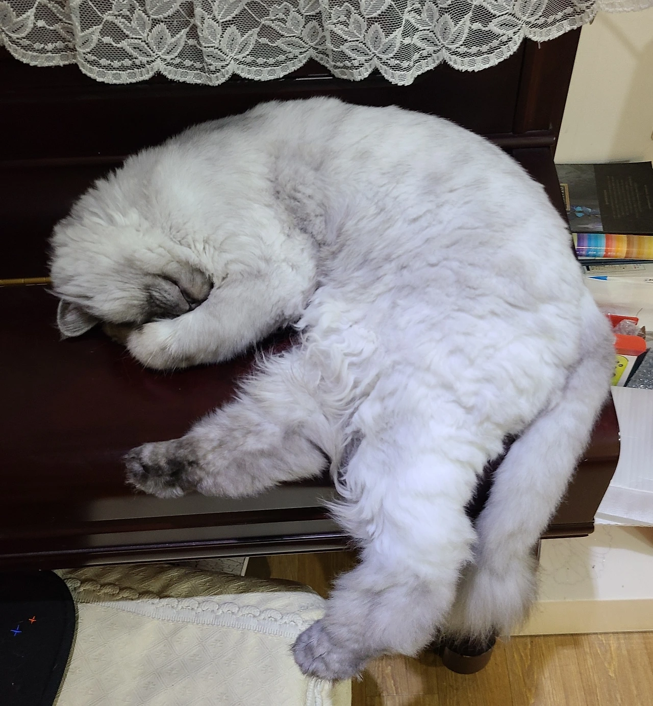 AD_4nXdGmPKz6qiX5bS1UBXj3-PWx_sz5vzChVsIiiO32i7dRWiddFyvj4jws4GHpzULn9i9IiOiZSlpf1gaDagd0X1I7Gzp_uyRUy0aOGYmSLuJQCn5yyAms1RzXAhKi6ttMGQx_bH9JA?key=HKo5hMzPOnnWCQFxd_BCwQ