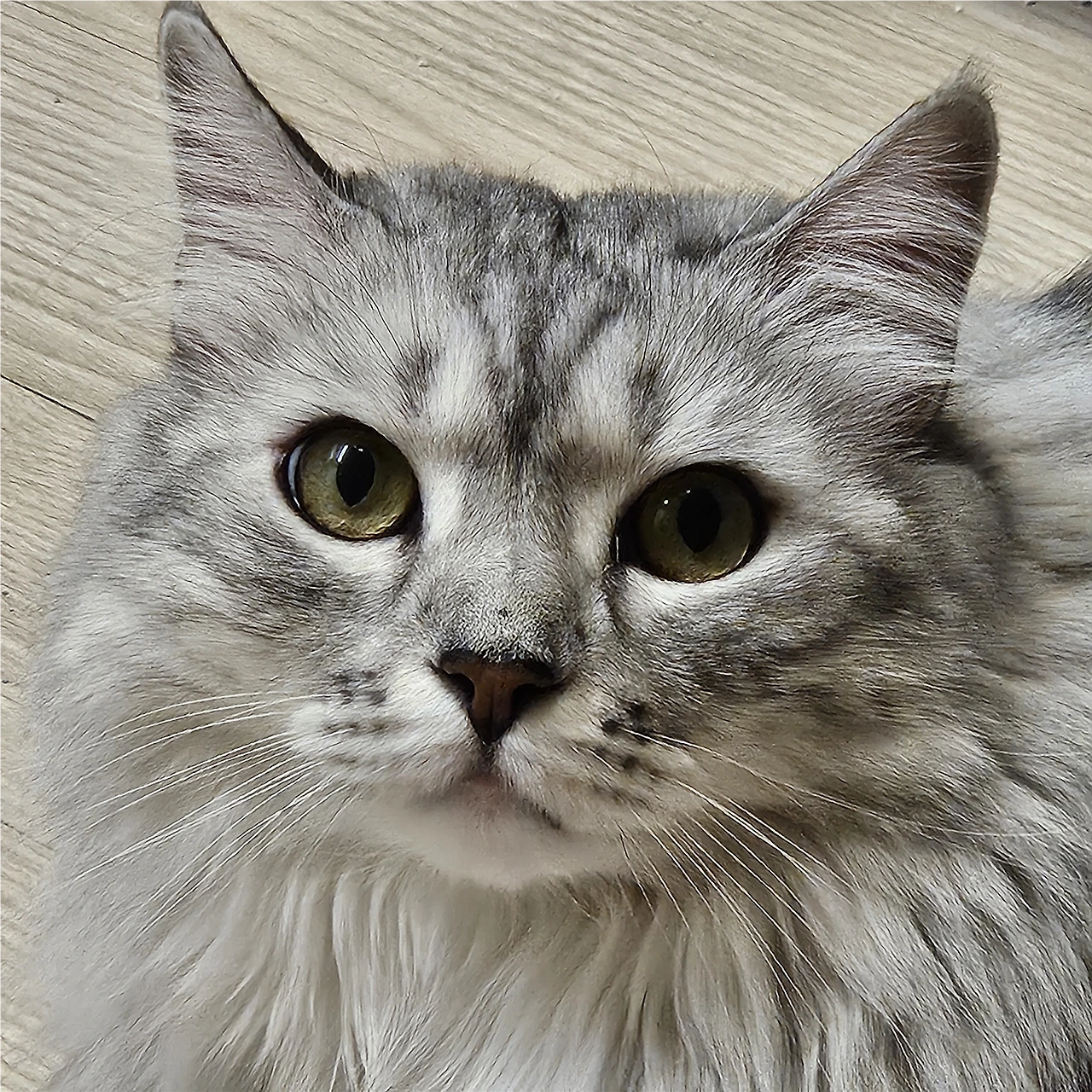 AD_4nXdvMPOlG4ytf8TbqXmqmw4ptsFF9X4twTPIXf_h6mCa6tPFDxPU8ElUkmEVgsyxECiI-gXfJrvSyRnd6kHC_zj0g4ZzhYRCNHrRXX-M4RkZ_CvR4QacAdVpxsWpZD24qYIuYcdmaw?key=HdfxCdkGVh8nnvl3UMqGIKma