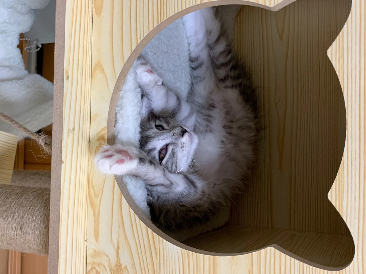 AD_4nXcq2BZyVjDqE51MQAJTISoWQRYvK-n4JSkayM7eg3YLdIpTpDrBlOwQB5-Hd1vWiRQvD0q4UyjSmBuPSykG19k3nuy_EEtjD8y4JkEzHX_2R4Wc4O662MITK8b3mzaXjbmdr1IDcg?key=Ohe1cIk7X6dFuYhIn5kQK_B2