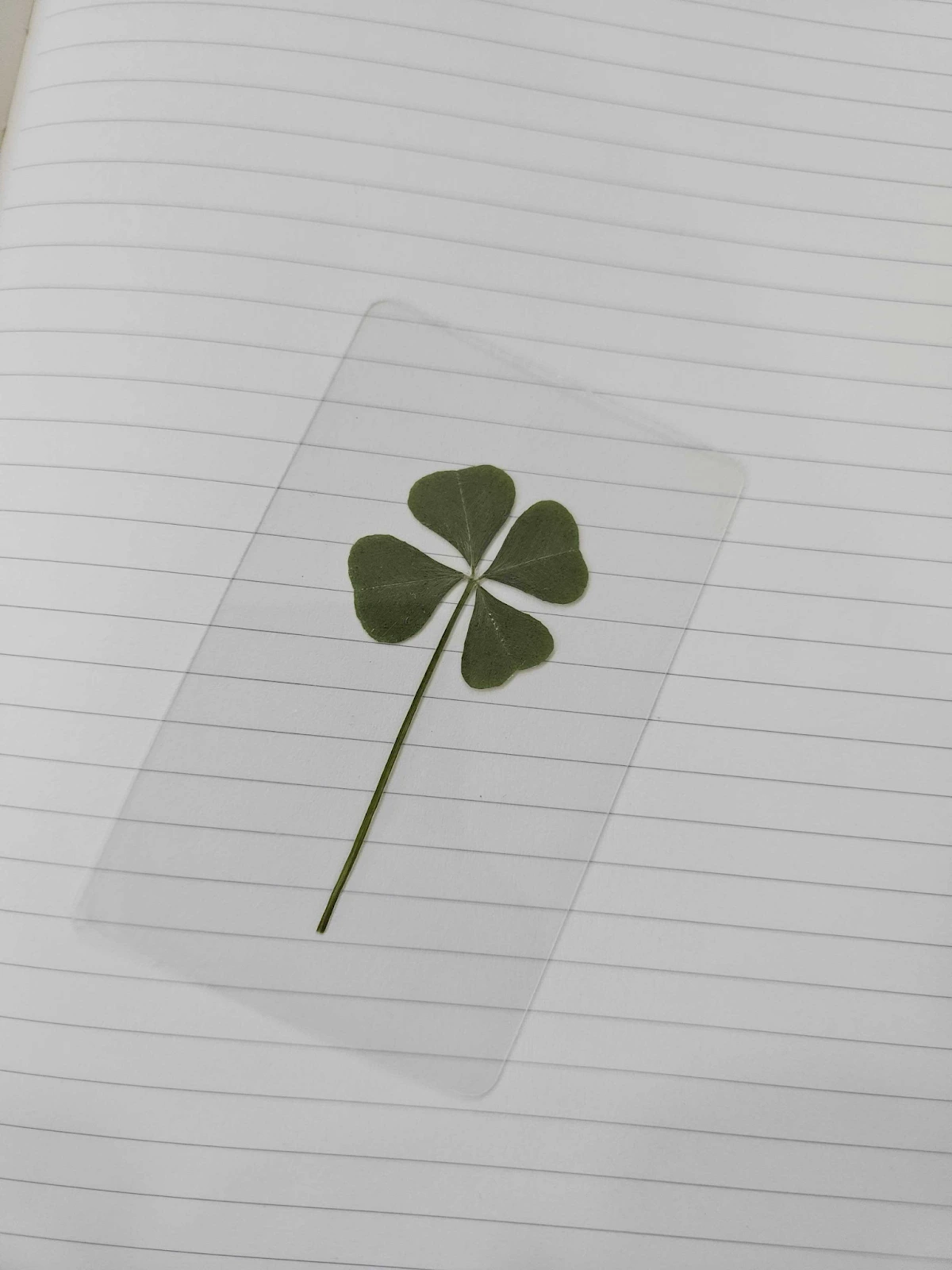 tBO5560A8cv2oZf-iYCn4EHmPWgzrg8BF3xtaKr9NSdR0duoyrJWtKUF65l1L-vQFBthoNaf1ClSHZPI-KSLiGraUVYsfozCyYguW92sqU-HSDCuZEmFx3xCjXLN-CveV9Lzldf0XgbMulvECqepOsw