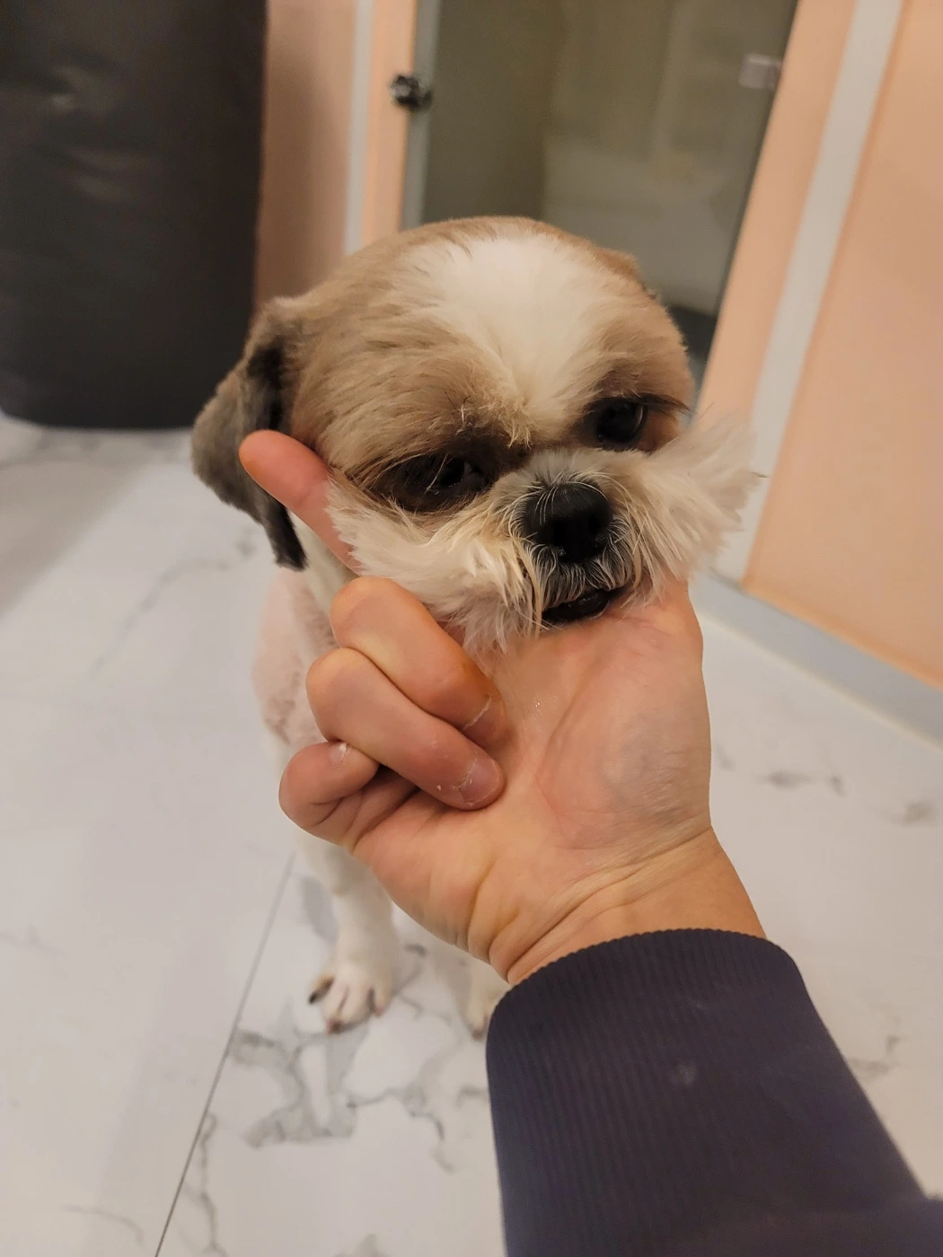 AD_4nXemEB-UPN9kAzQZaq4LM3rf03zPmLW92u1QObP5D-tOxESm1hHFXWPdJXY5Qkq3ObmRFF0cCOB5iCSRPgwqzPxooty0izJHY4fMYFu69cMhv2zyxBPxBRq9buObHPzx5c2UMNnhpQ?key=OFnqfGVcippEo4uz8r1BtzFG