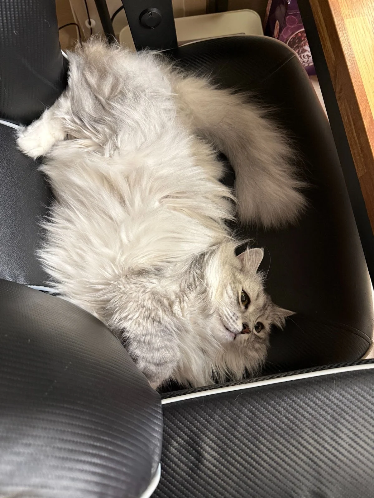 AD_4nXcTLBbkBkzr-ANldx_MUUQ-HsADtxbHUzWTq_Srxmk3d0c_DDWyFLaFPApKZPIEUSrtWBko_RcPLs_49ZfS_pRwiN08FXs6dUmVSlKMwh9_WM7SRUMgaaiL8qHT2M-rvkTZlC9tqPFne5TKg07sAWdlvaLe?key=hWEBefdlDi-FTkQFn4zcmw