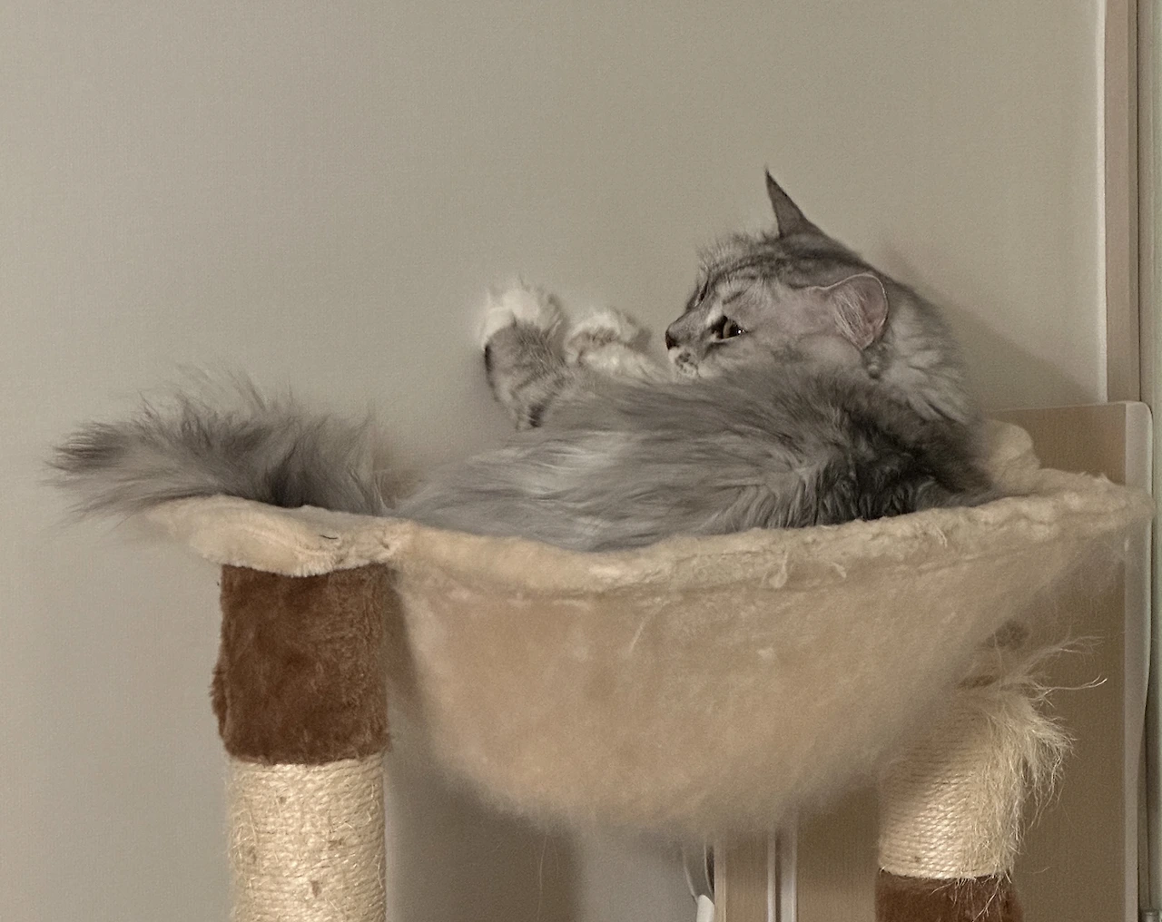 lmIlj0TCq1HctO7ZX2zab_2EoMyzhsoToeUW9X8hmIxS3jB8nihRqAiKuH7ZzuxJzGB4ypR9bPapgY1xM5O_6YcuJEf769IjzwvQGQPZrGOm1SLFP1BPj2XKlepmhagBEurxga_c9ukTedwRcT33L-0