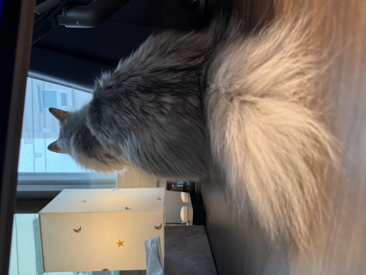 AD_4nXfmb-FNynE0mK3QqjxXQpuE-VI3n_lTiRISE8XshTY_K8mFyd9fR3X96dFnsFg5pOHVzN5_5txKhguKPG3vcdW66reamW8mUoEeaQjxrSRUF3p9EmSbrKBgwmEysDxhTgibBkcPHA?key=_nHxMQFAS7SpNGNgakapNQ