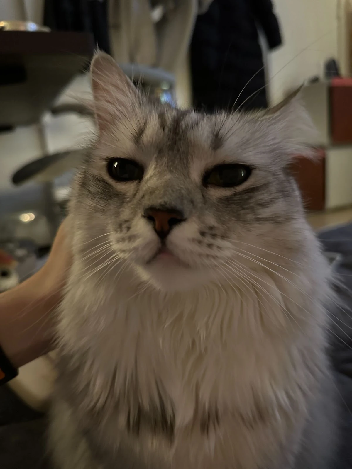 R_cipUWzi0Ut_YMVEFFFkmbOFU7IumOLLPg-3LrbpTl93vTcQR5y2XLAJJSSKi84DQBWPRZktuTqxxhtN2e002zMP_bAArgKtumU2_uNzHN7Bf60Xj6IziAVR1LTBMwfW9m2Um-1PHEOp0catKLVyzQgehfkGPJpF-LNcvC6V2OjtE42cYcpYGmK-YZKdw