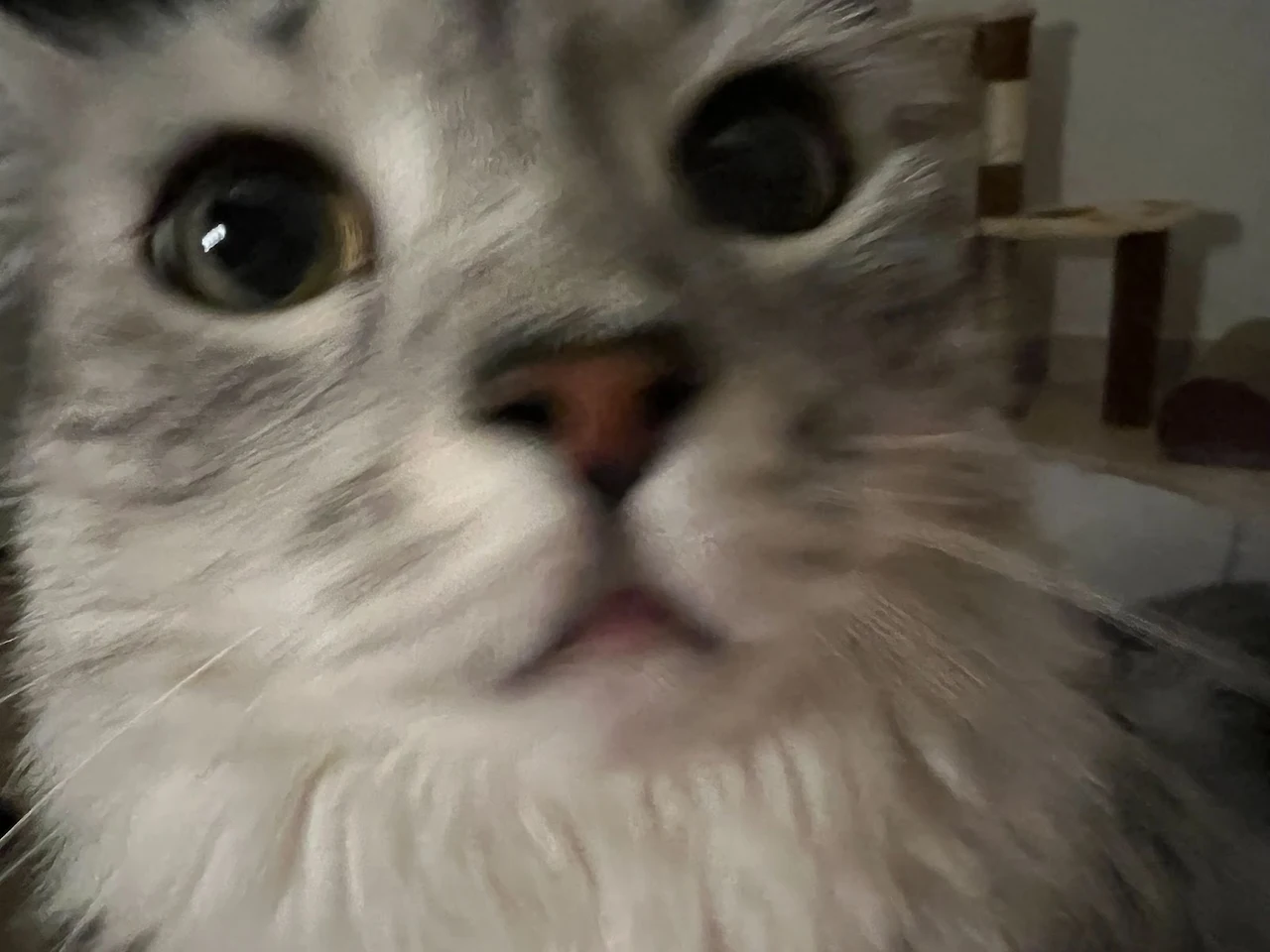 kl-6Er71KwSc0QD61id2NC5zB6Q1RIGJYgbWfQqpAlxJ84XObT0xafDuFLjKPeJpimke6VA1m_ie1ARjQNocKEGiyMSlSGF5Ia1qR2jvVns2UAHSzzc7m4NBC97mDfovaA0CEYM7bGcWM6tfuZp4teo